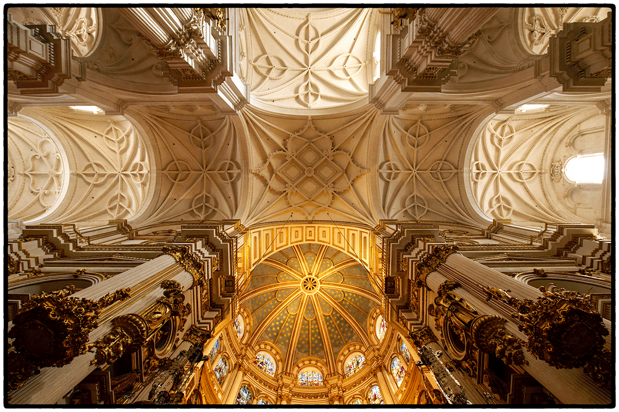 The Ceiling of the Cathedral