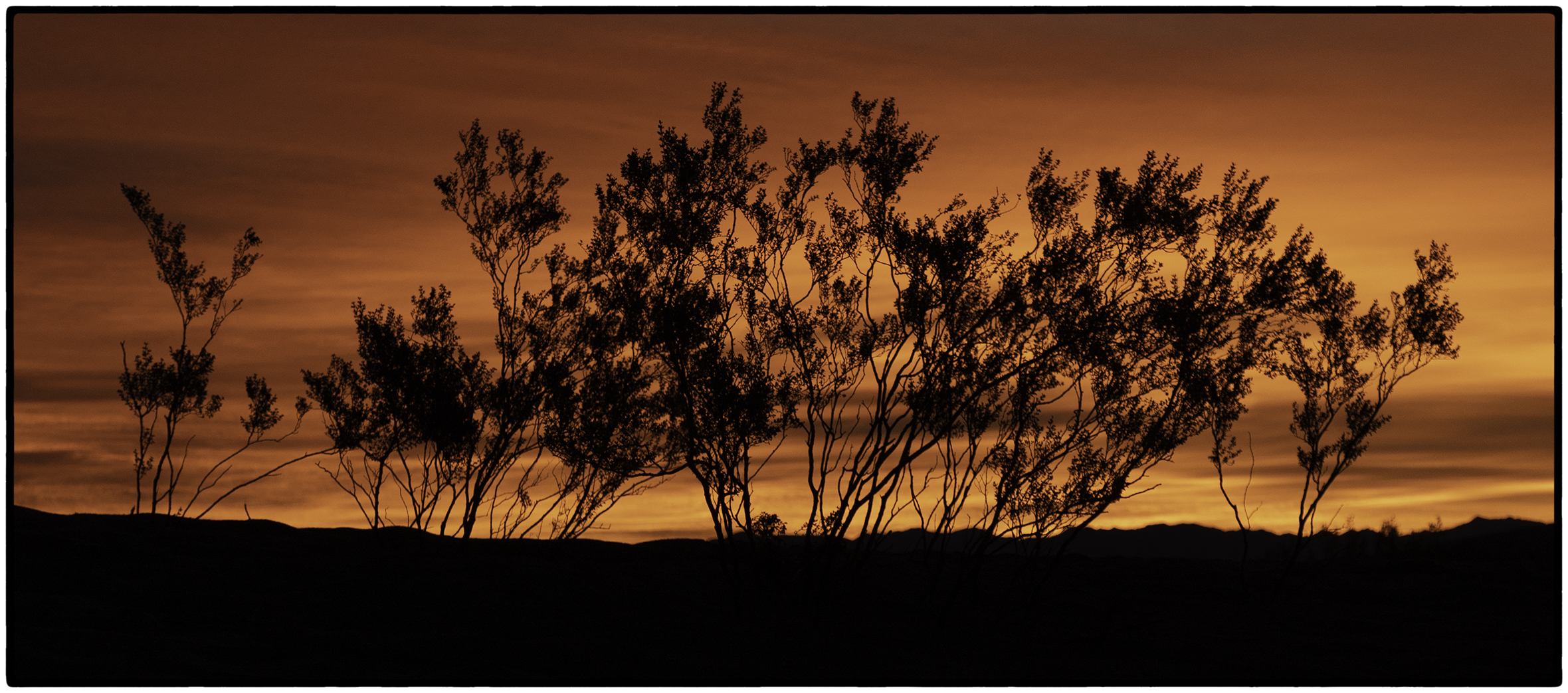 Sunrise, Mesquite Dunes