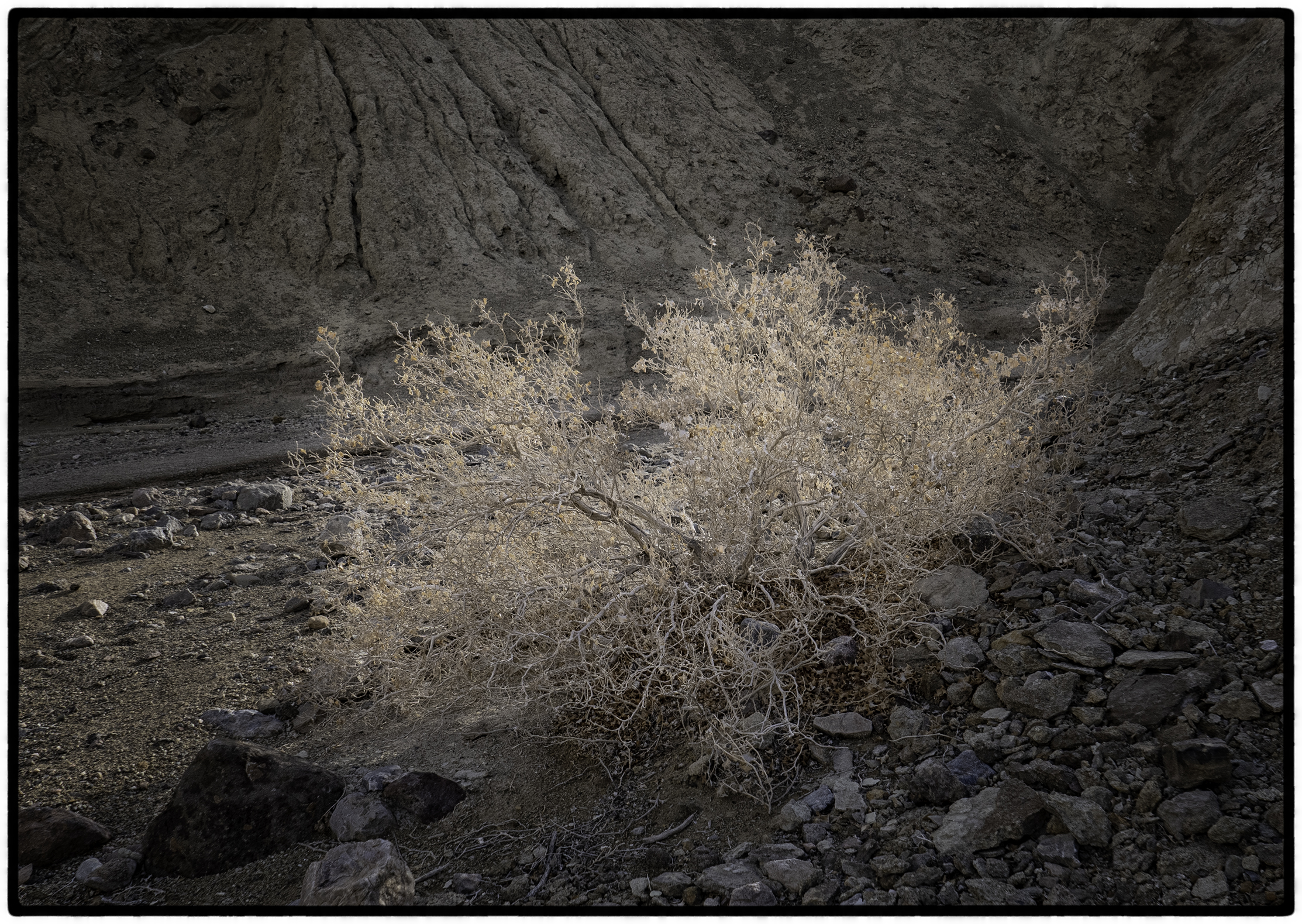 Golden Canyon #4