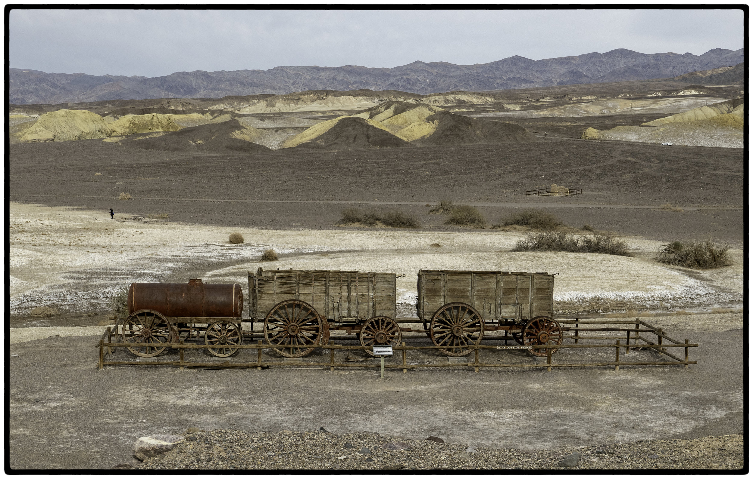 20 Mule Train