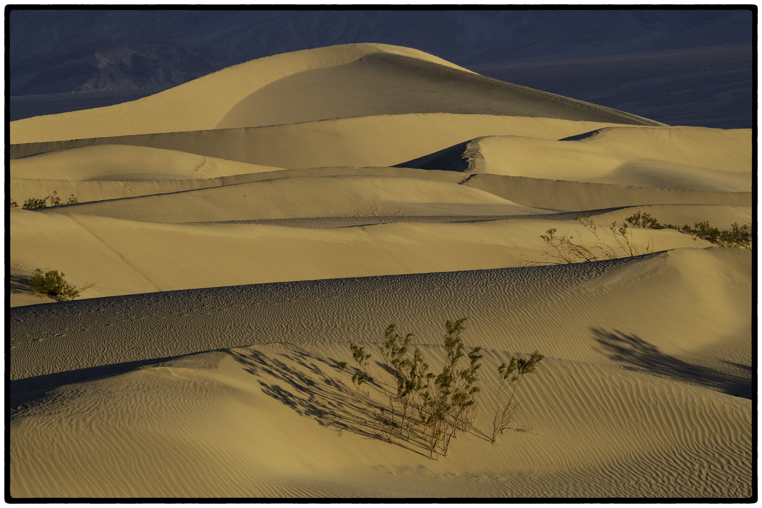 Mesquite Dunes
