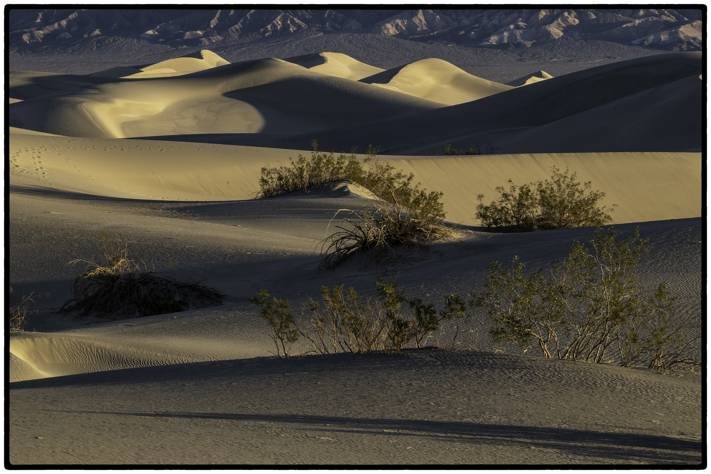 Mesquite Dunes