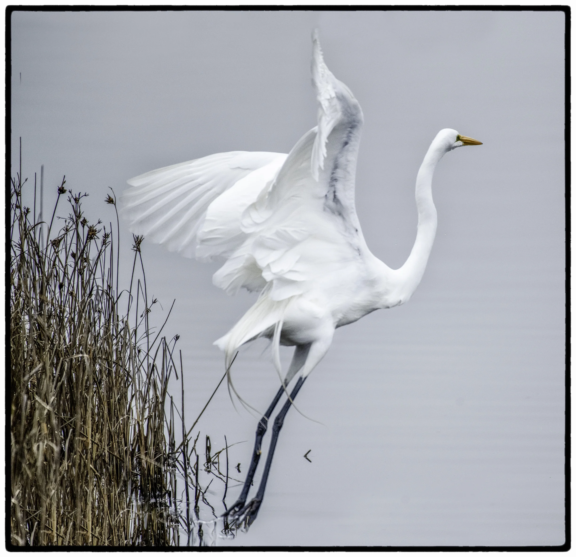 _DSC4266-Enhanced-Edit-Edit-Edit.jpg