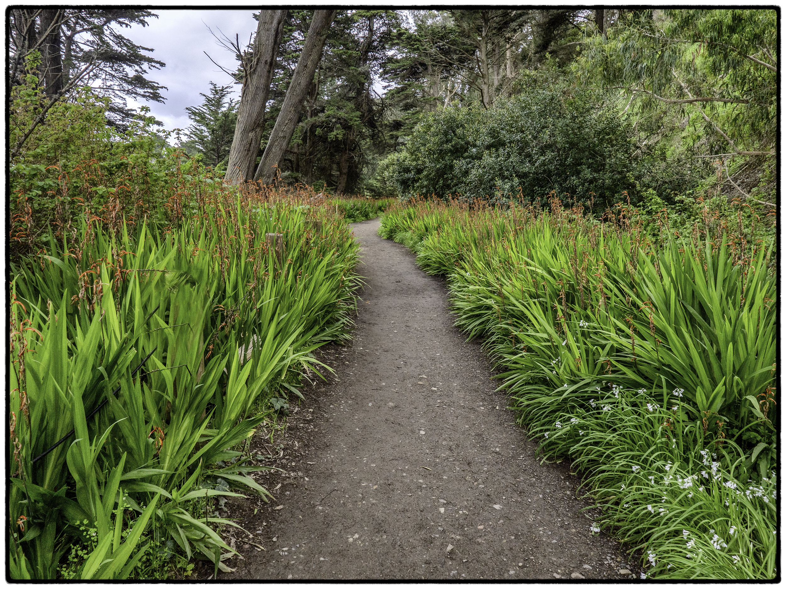 Lands End Trail