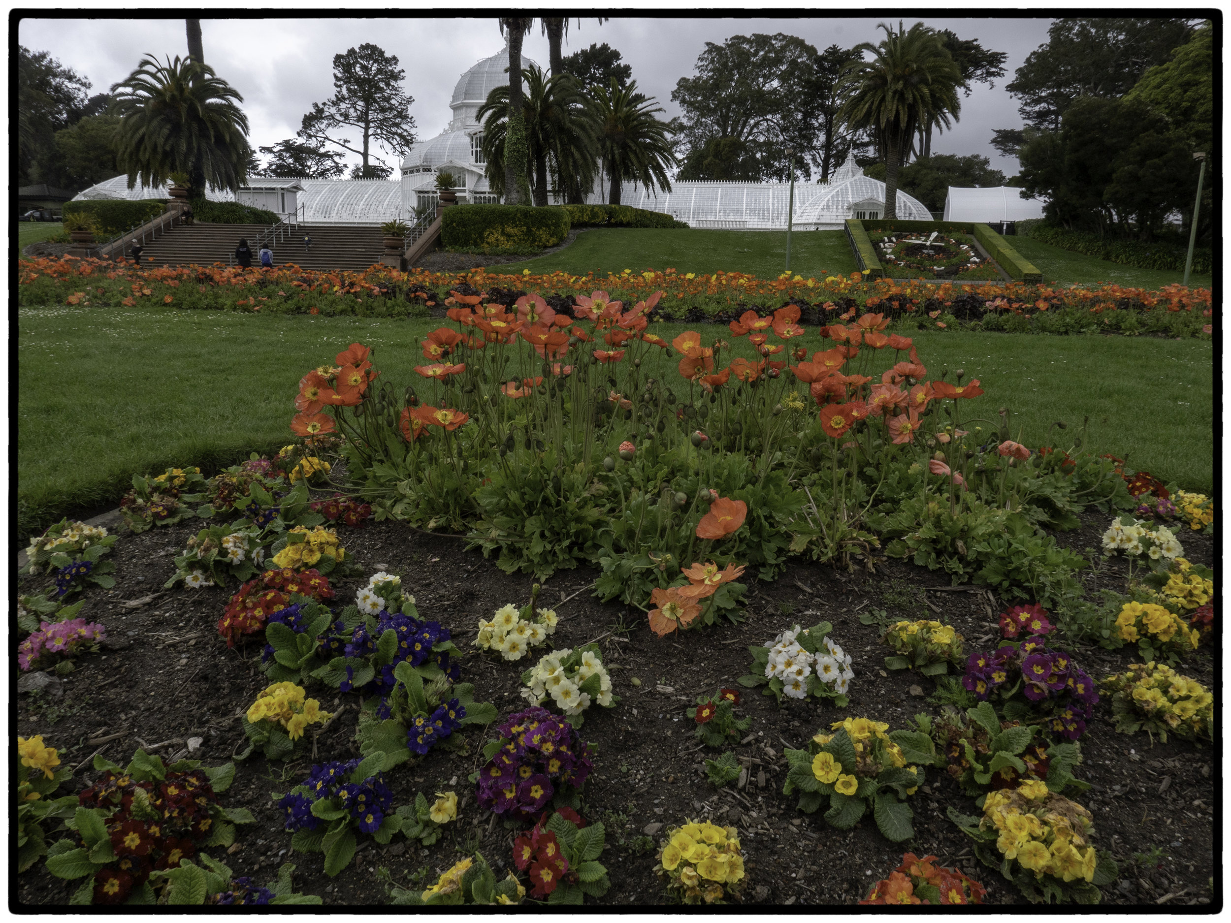 San Francisco Conservatory of Flowers