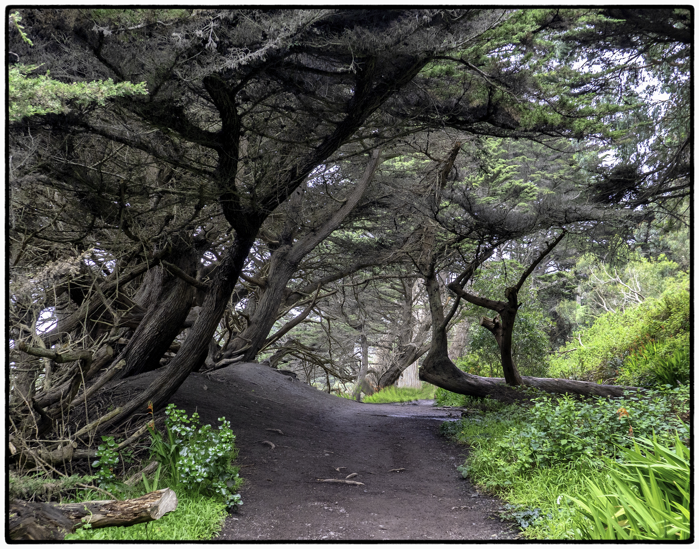 Lands End Trail