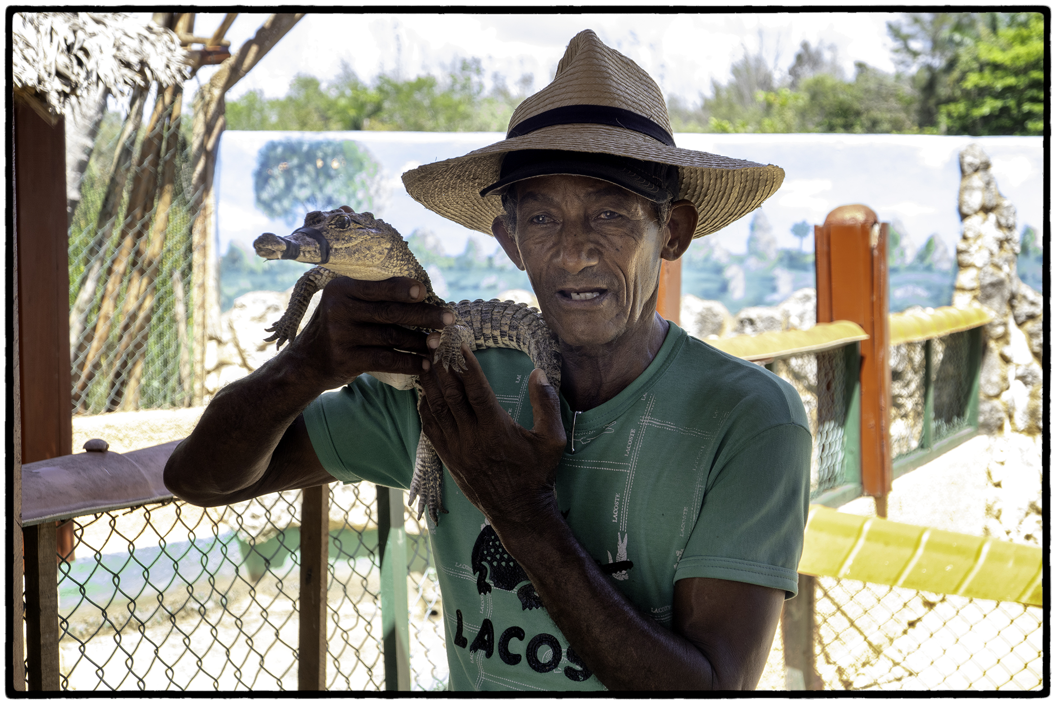 Crocodile Farmer