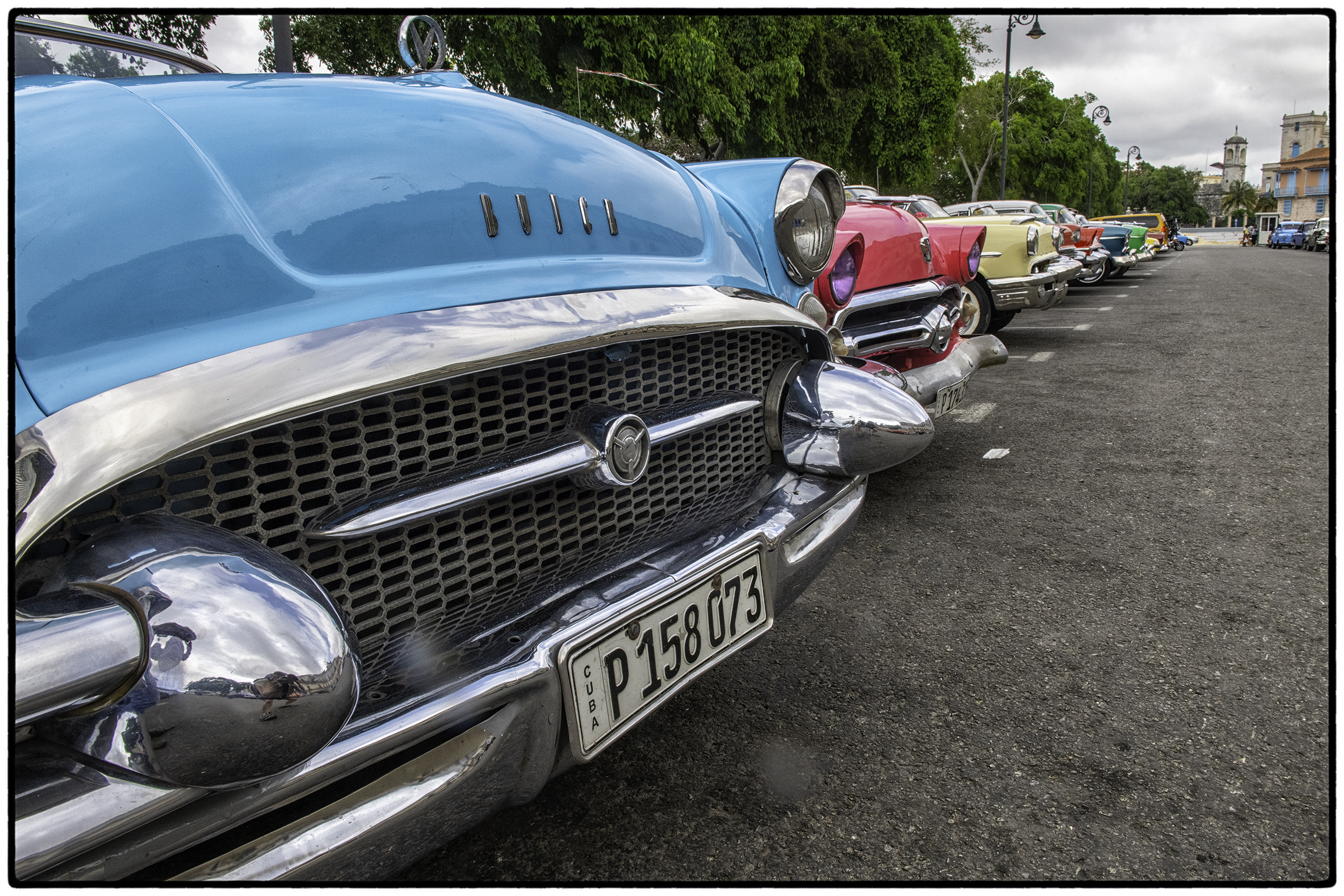 A row of pretty faces