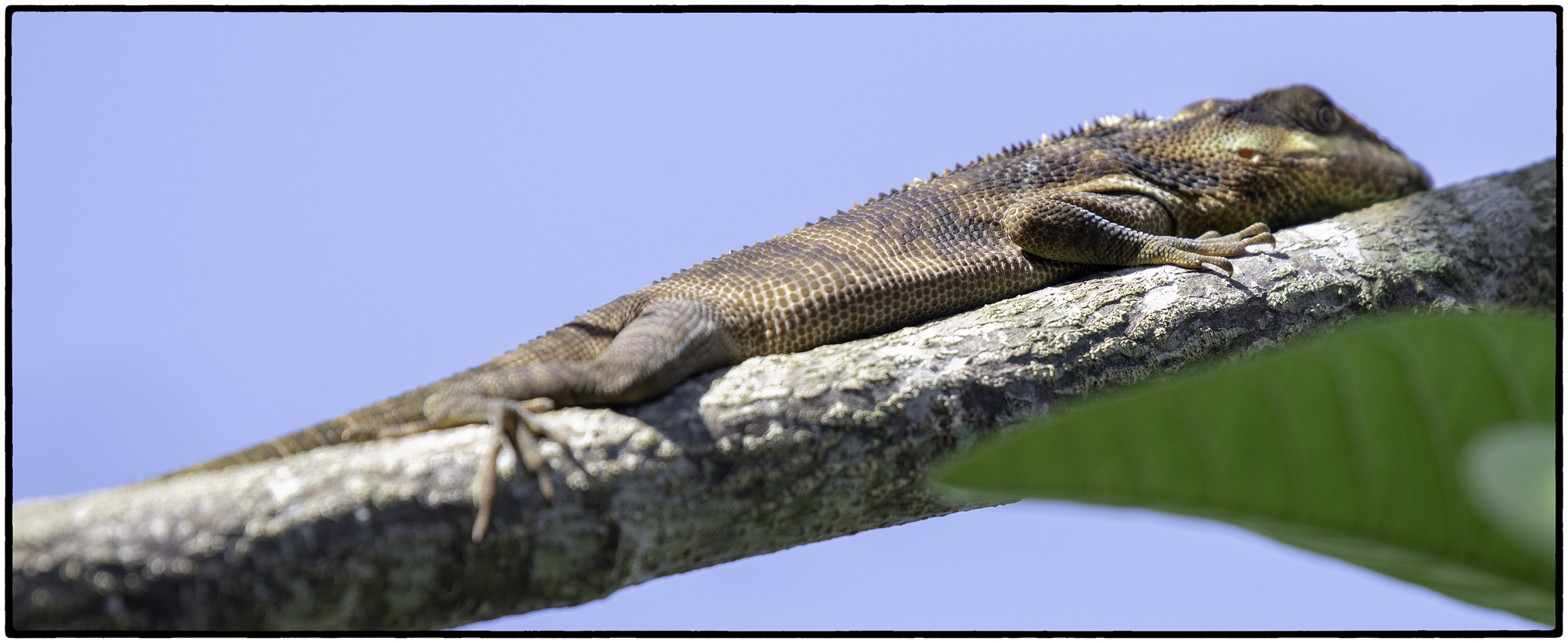 _DSC6590-Edit.jpg