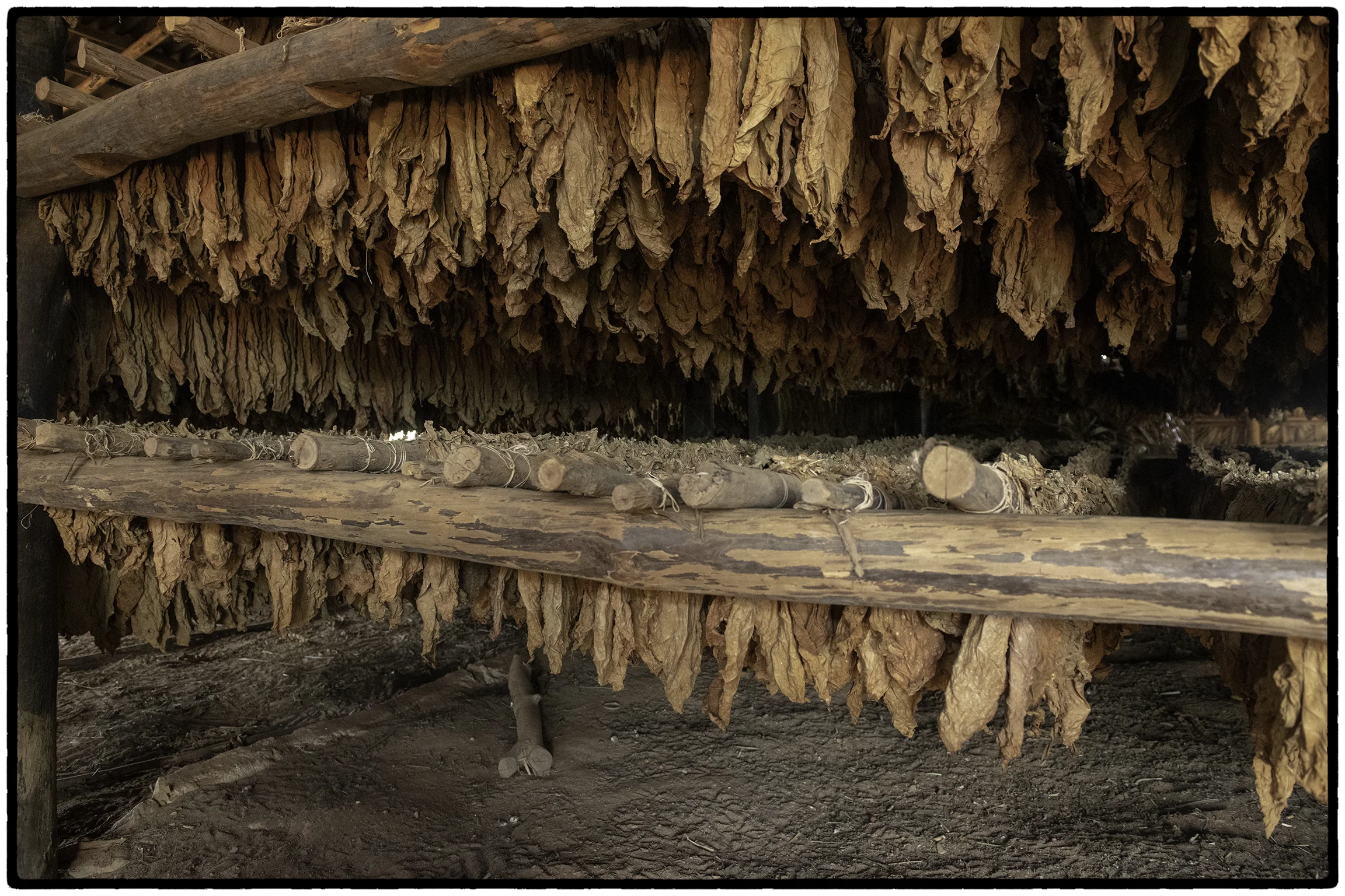 Tobacco shed, Santa Clara