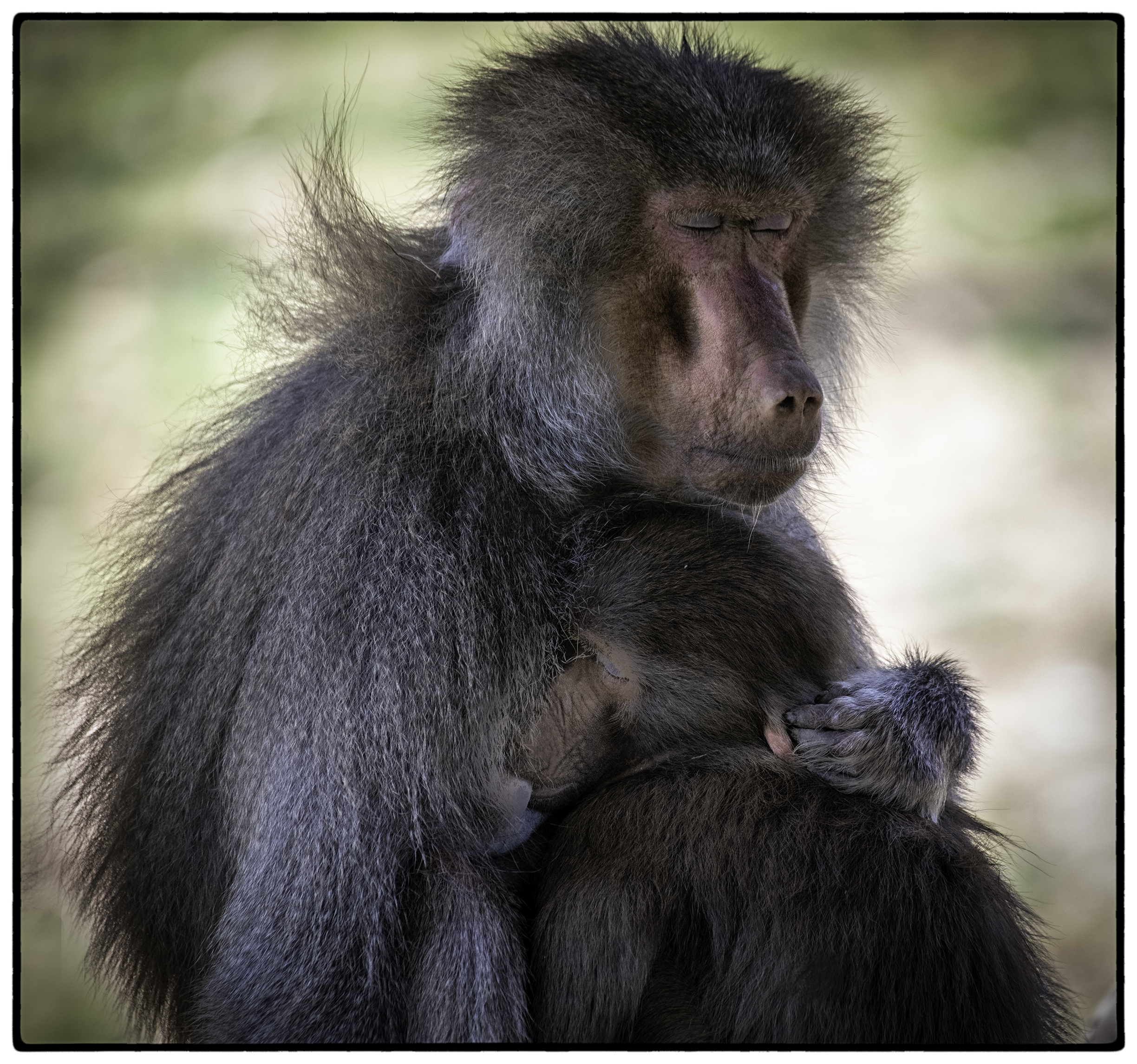 Mother and Child Reunion, Oakland, CA