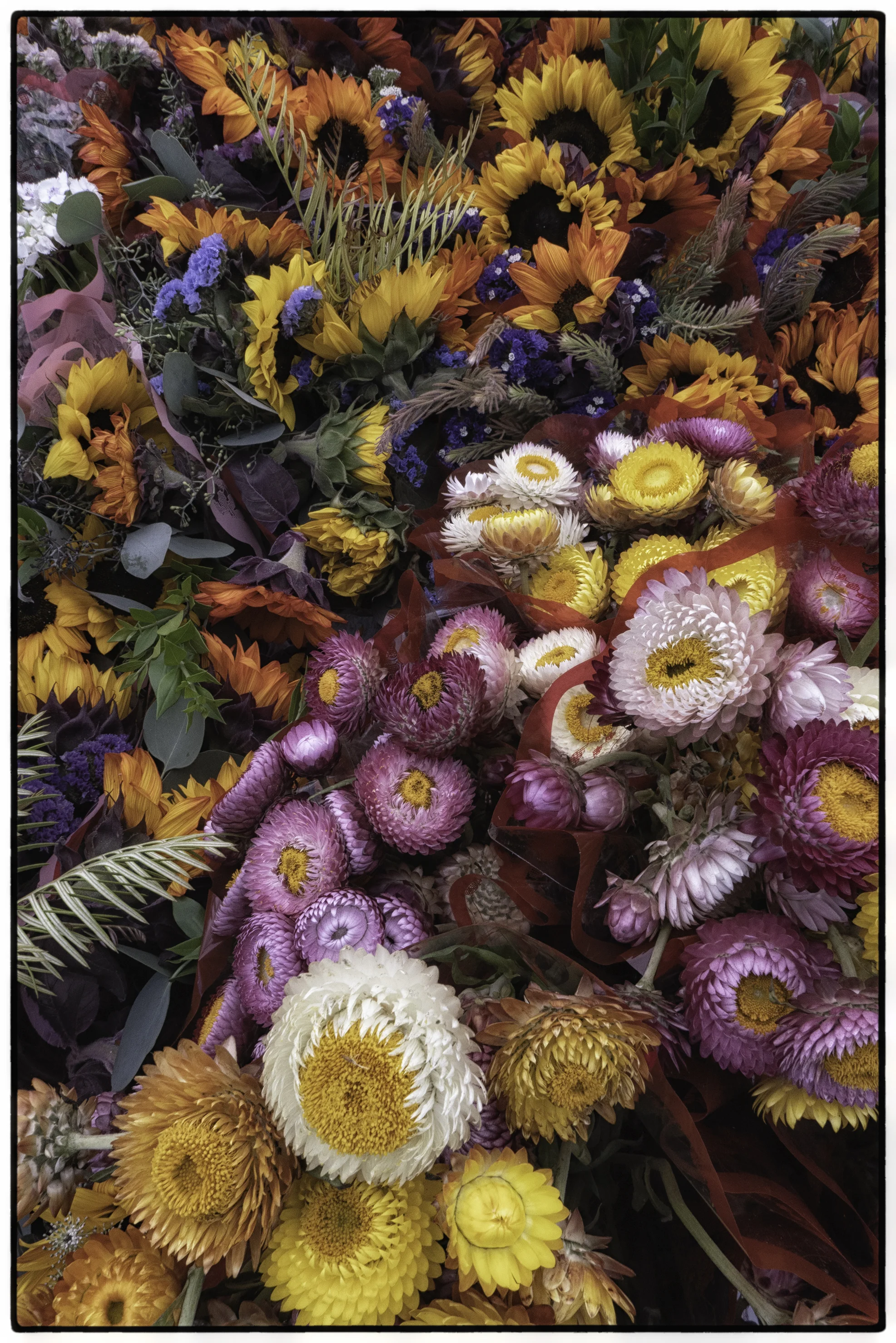 San Diego Farmer's Market, #2