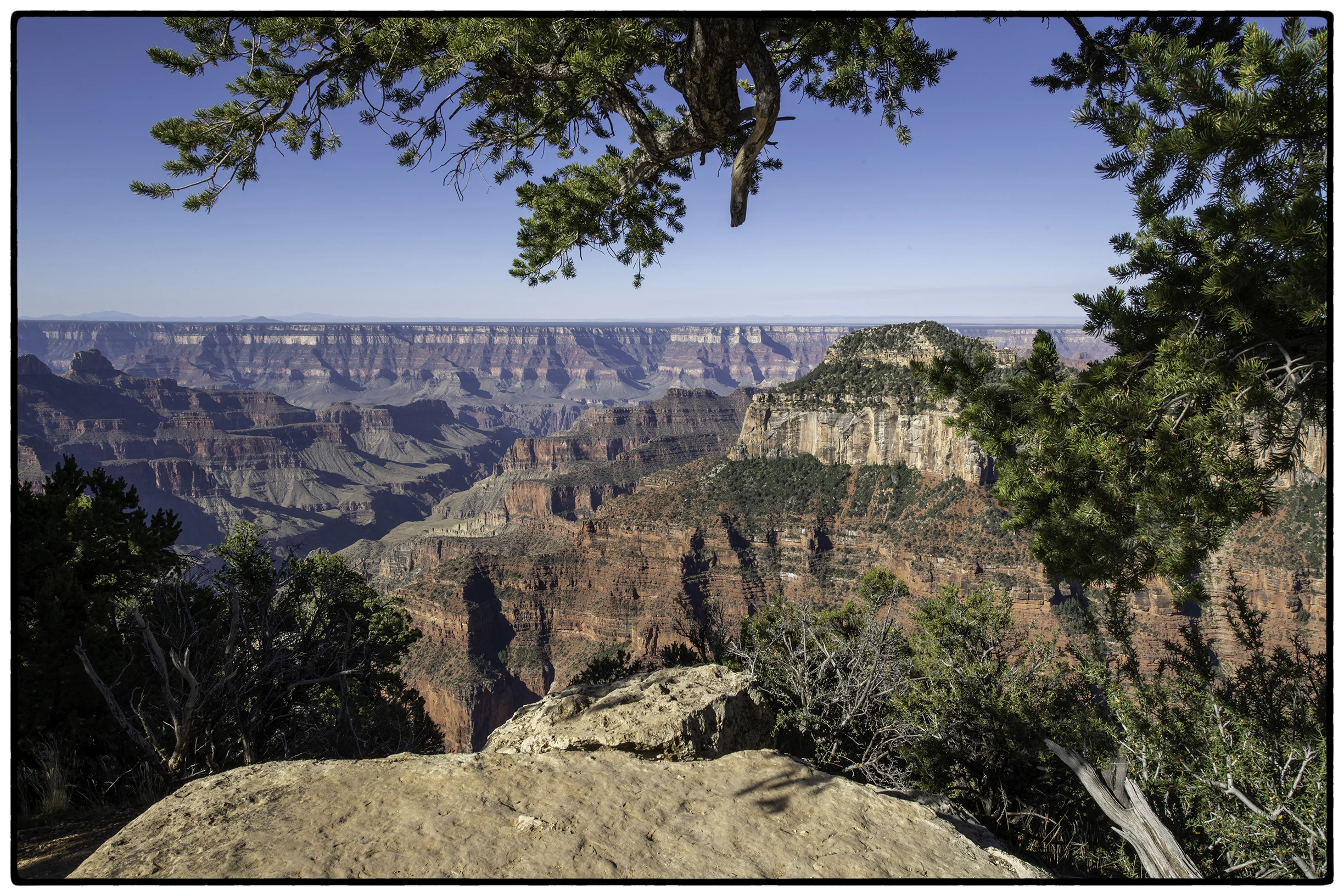 Grand Canyon, North Rim #1
