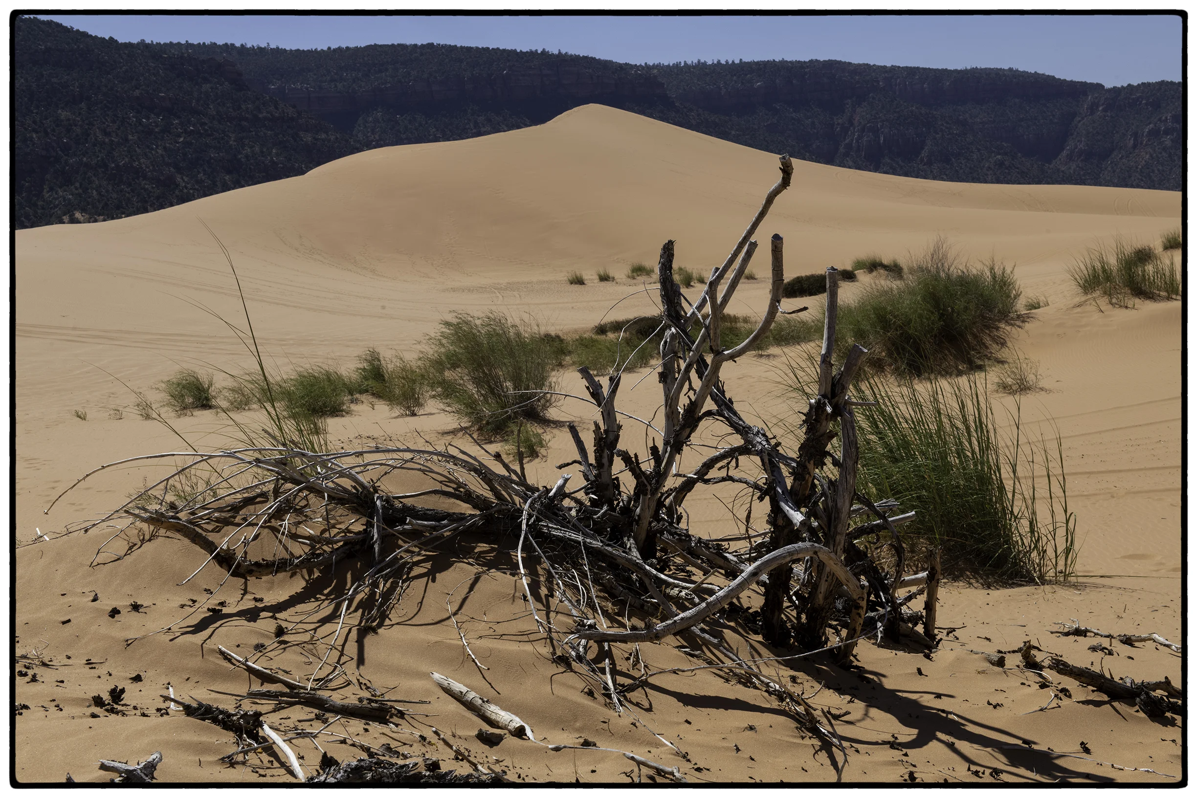 Coral Dunes, Kanab, Utah
