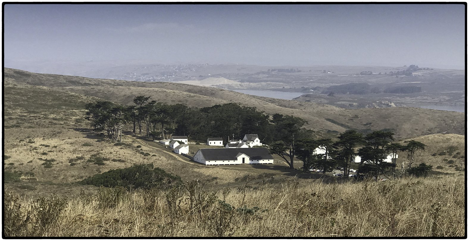 Tomales Point