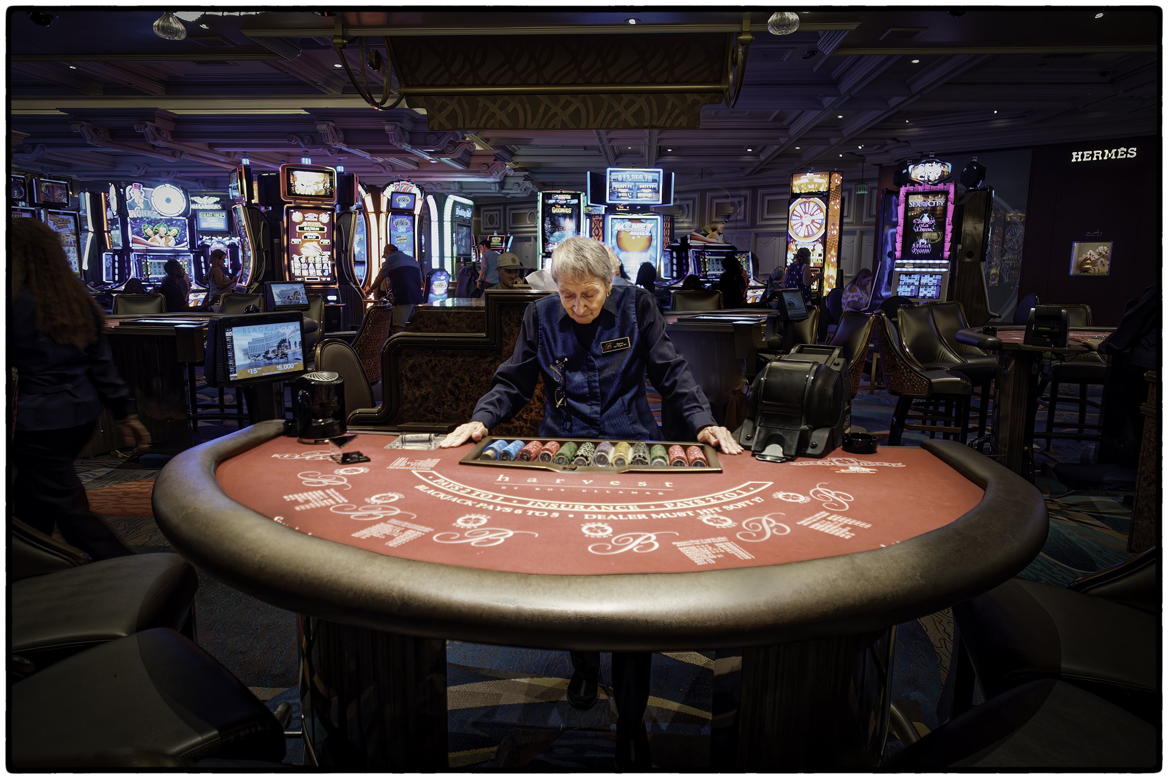 Card dealer, Bellagio, Las Vegas