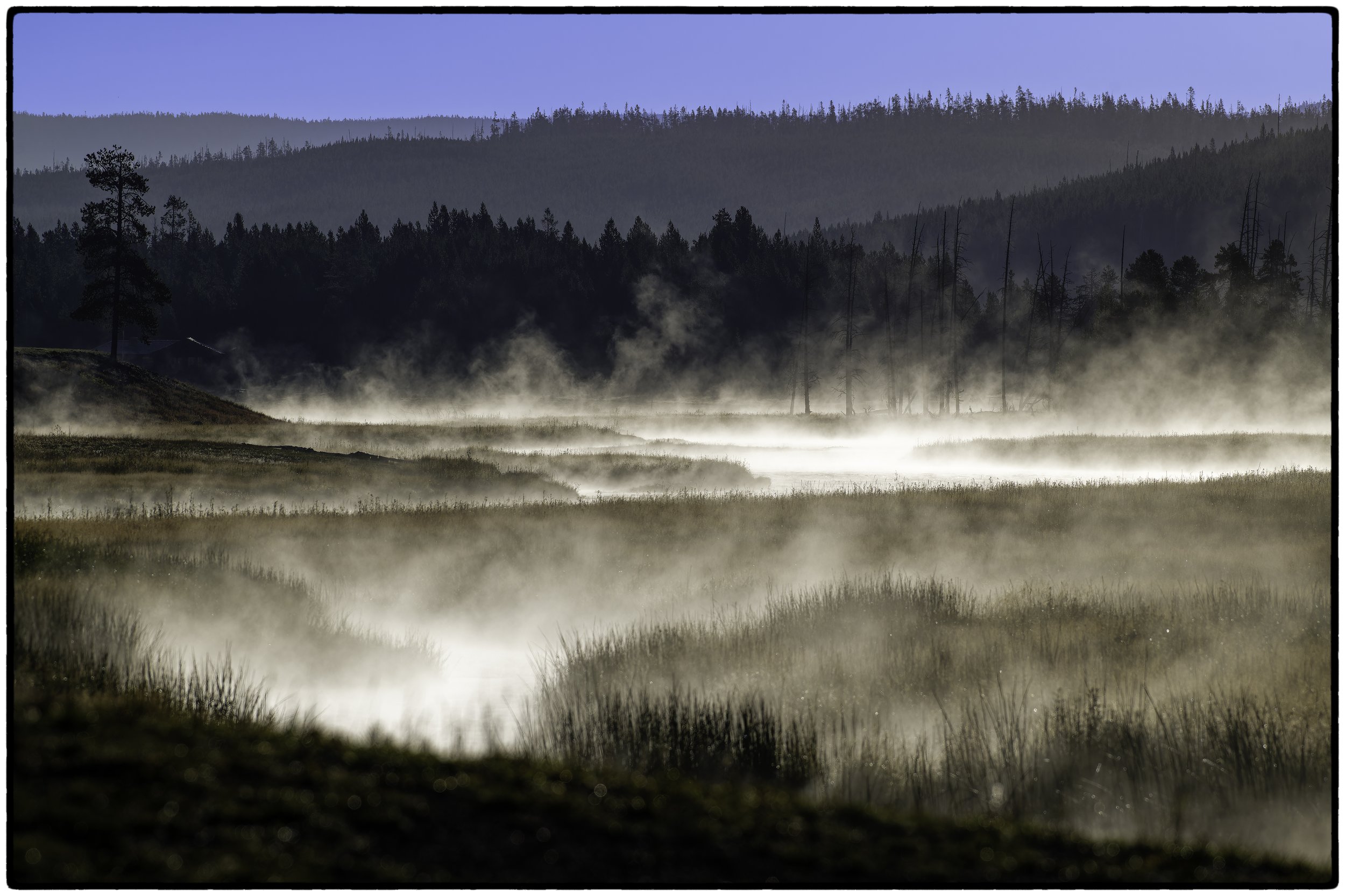 Early Morning, five miles into Yellowstone