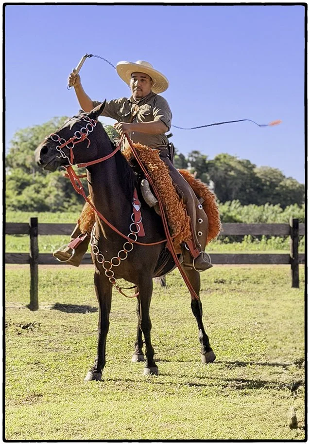 Brazilian cowboy