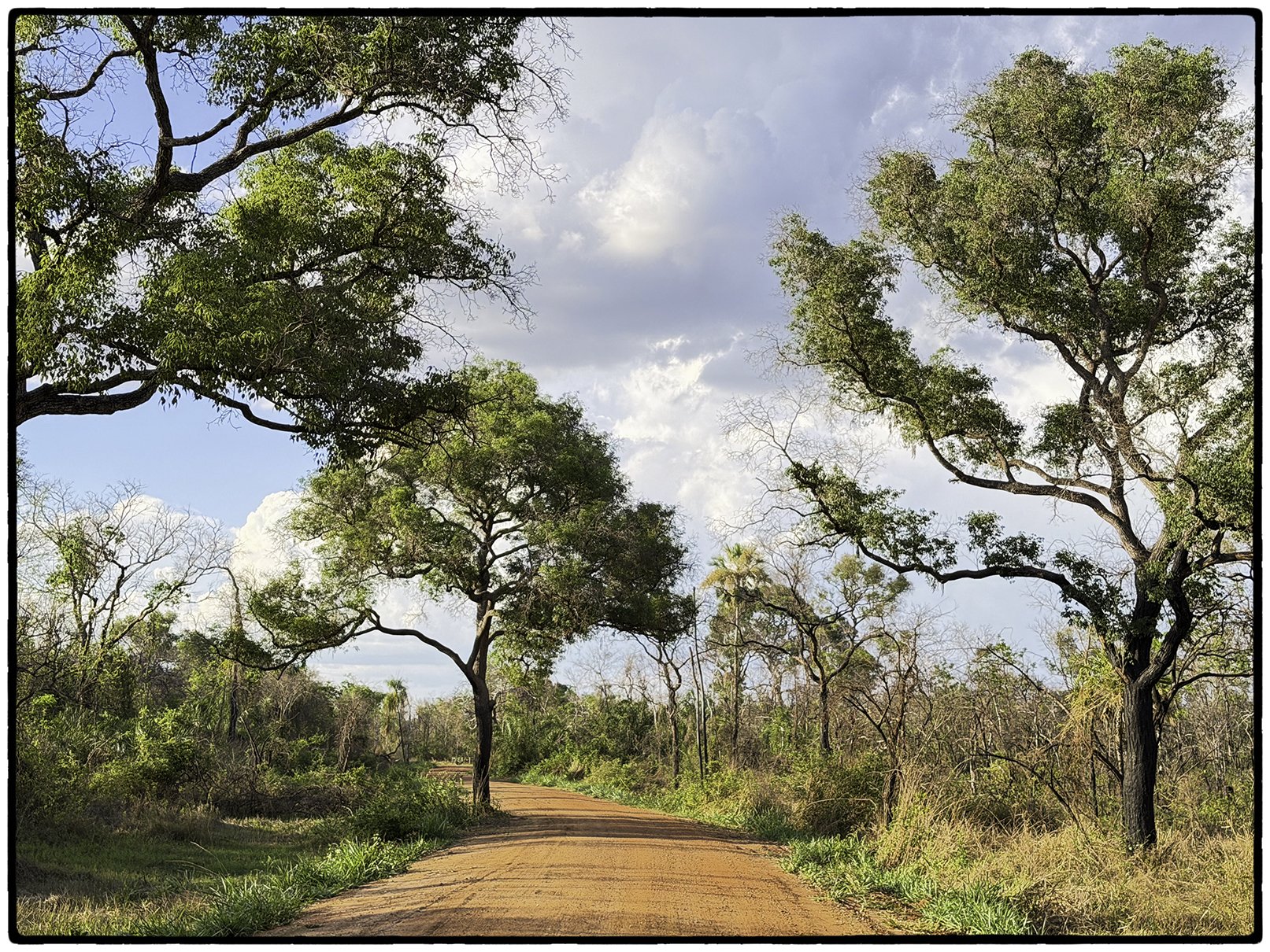Scenes from the Pantanal