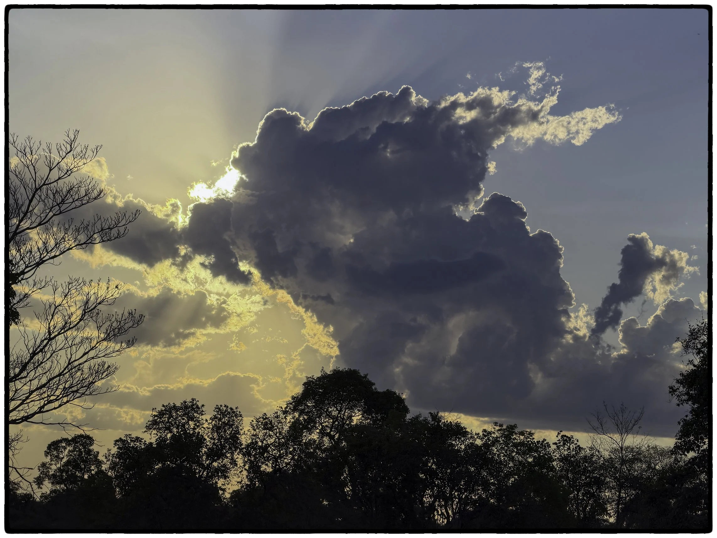 Scenes from the Pantanal 5
