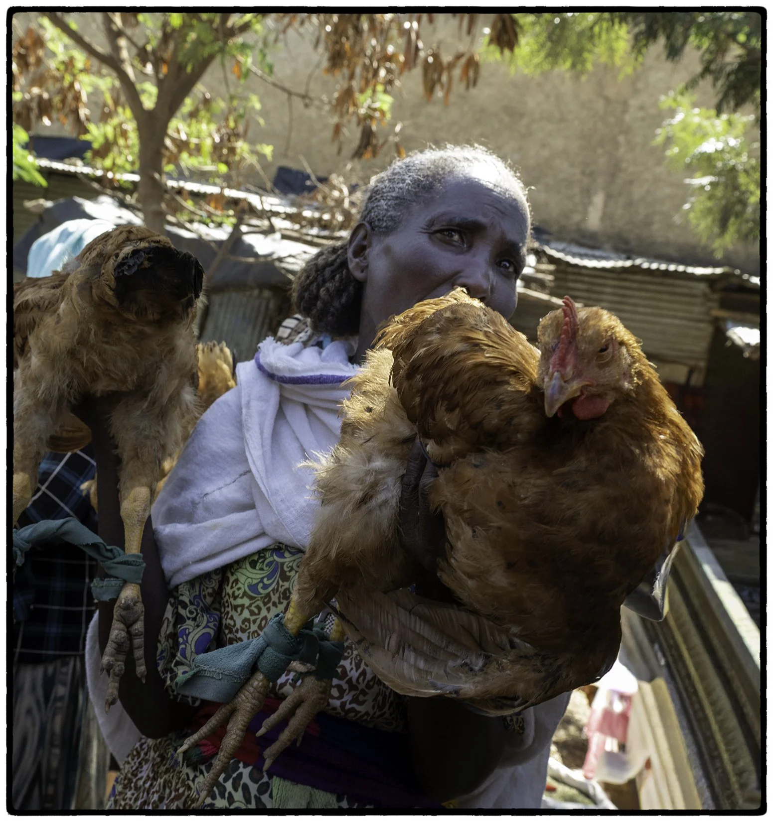 Woman and chickens at the market