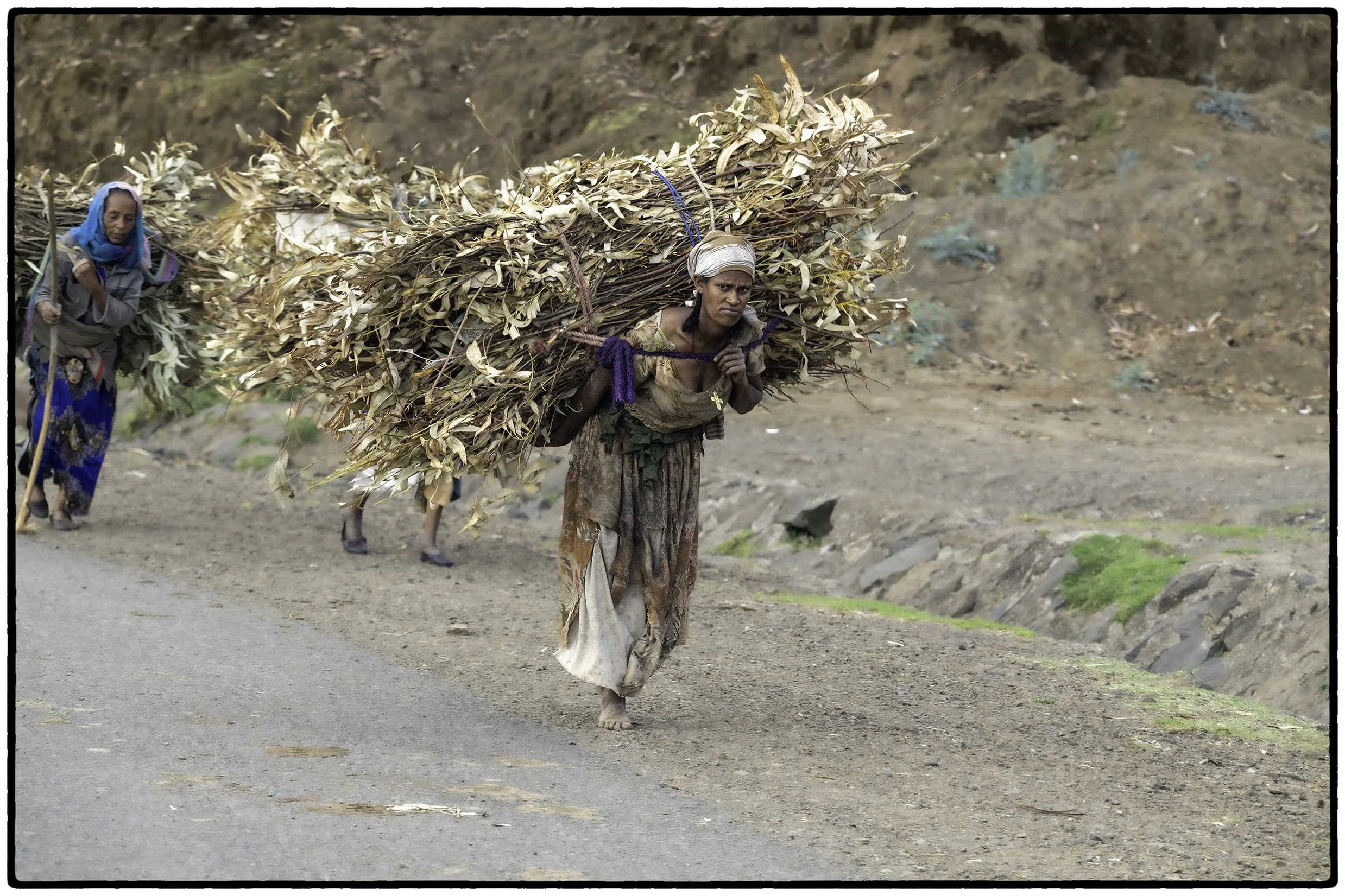 Women work as hard as men
