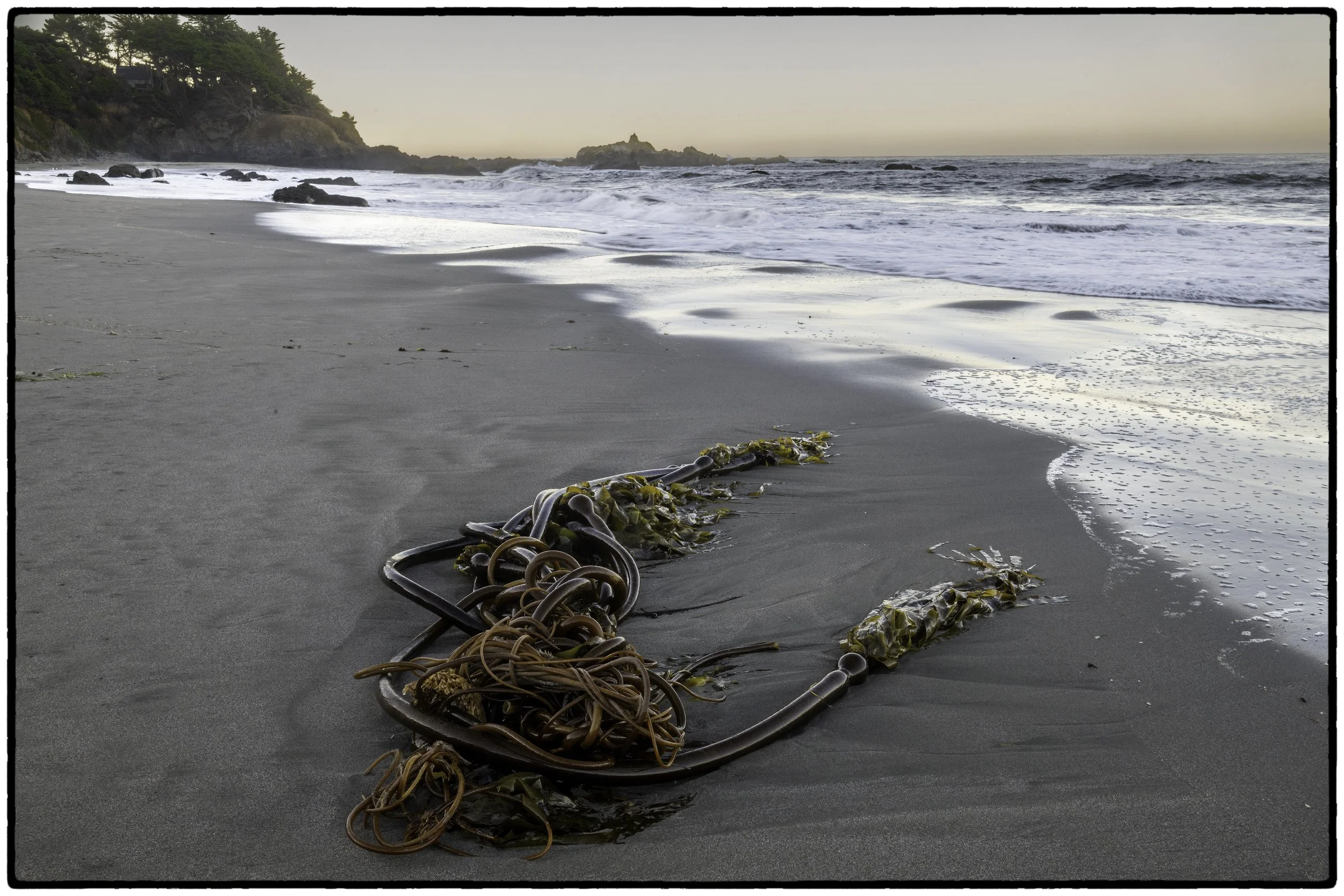 The beach 7:00 am