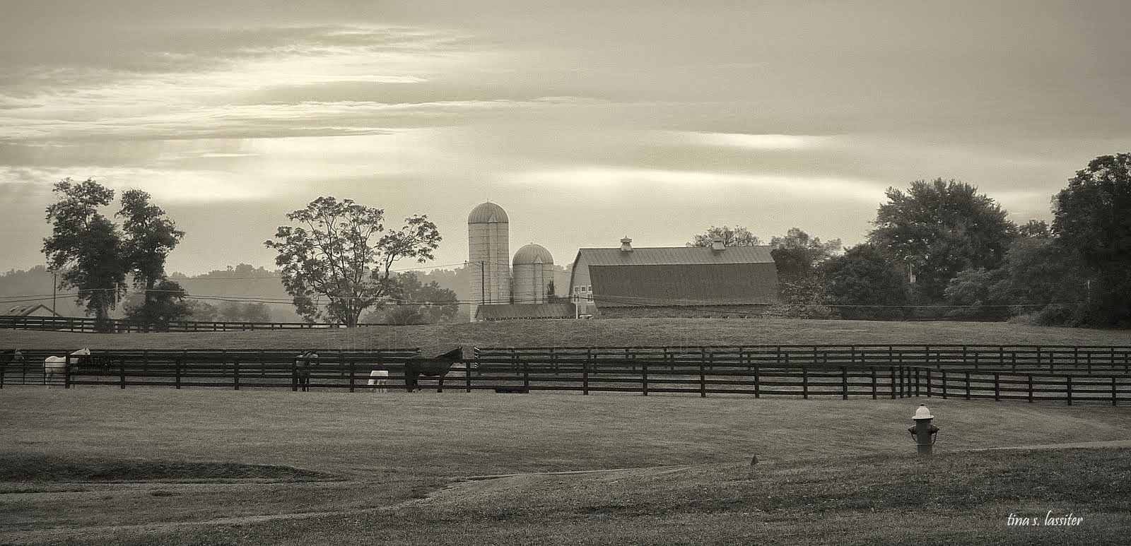 country side