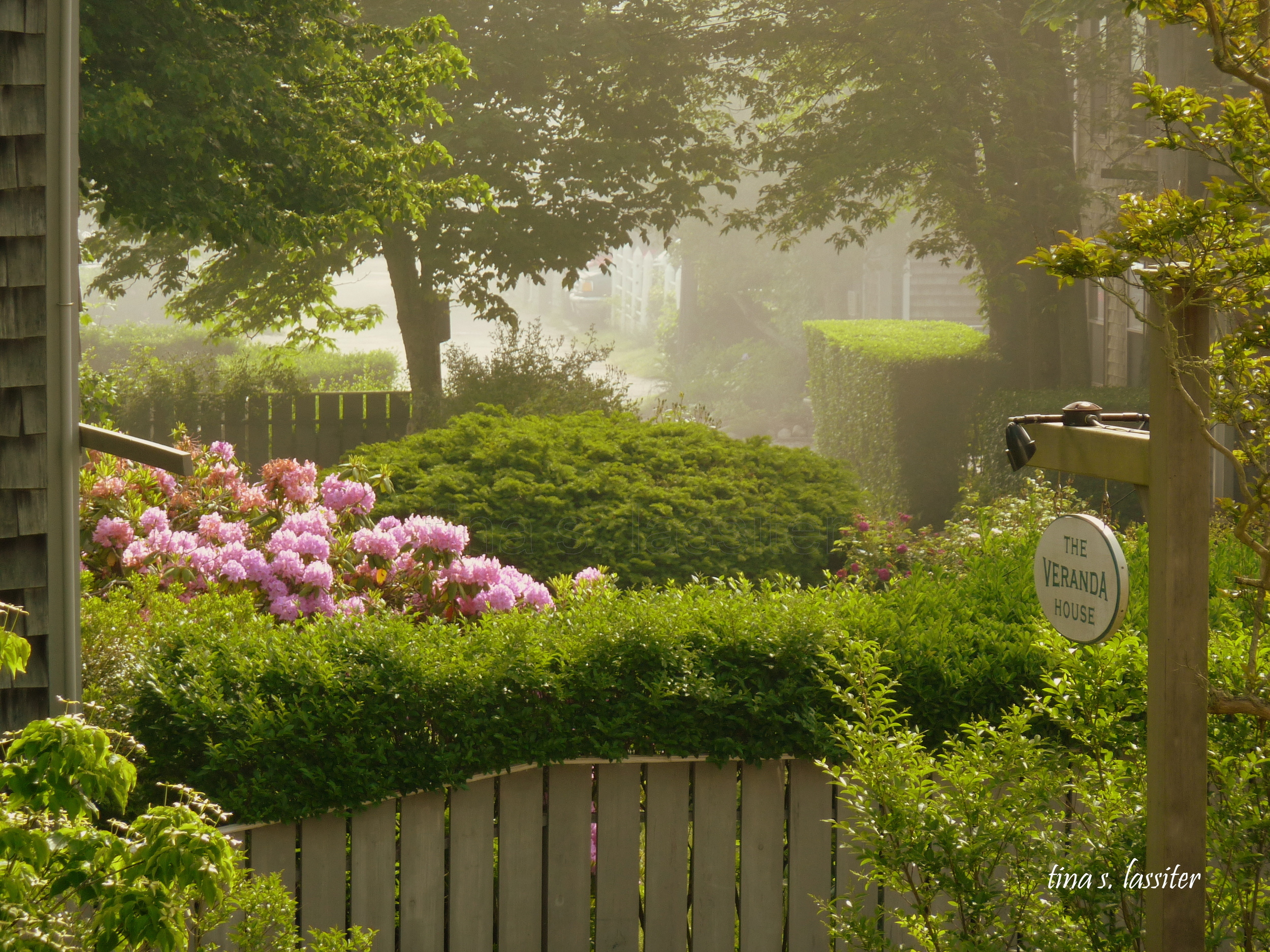 veranda hotel garden in fog 