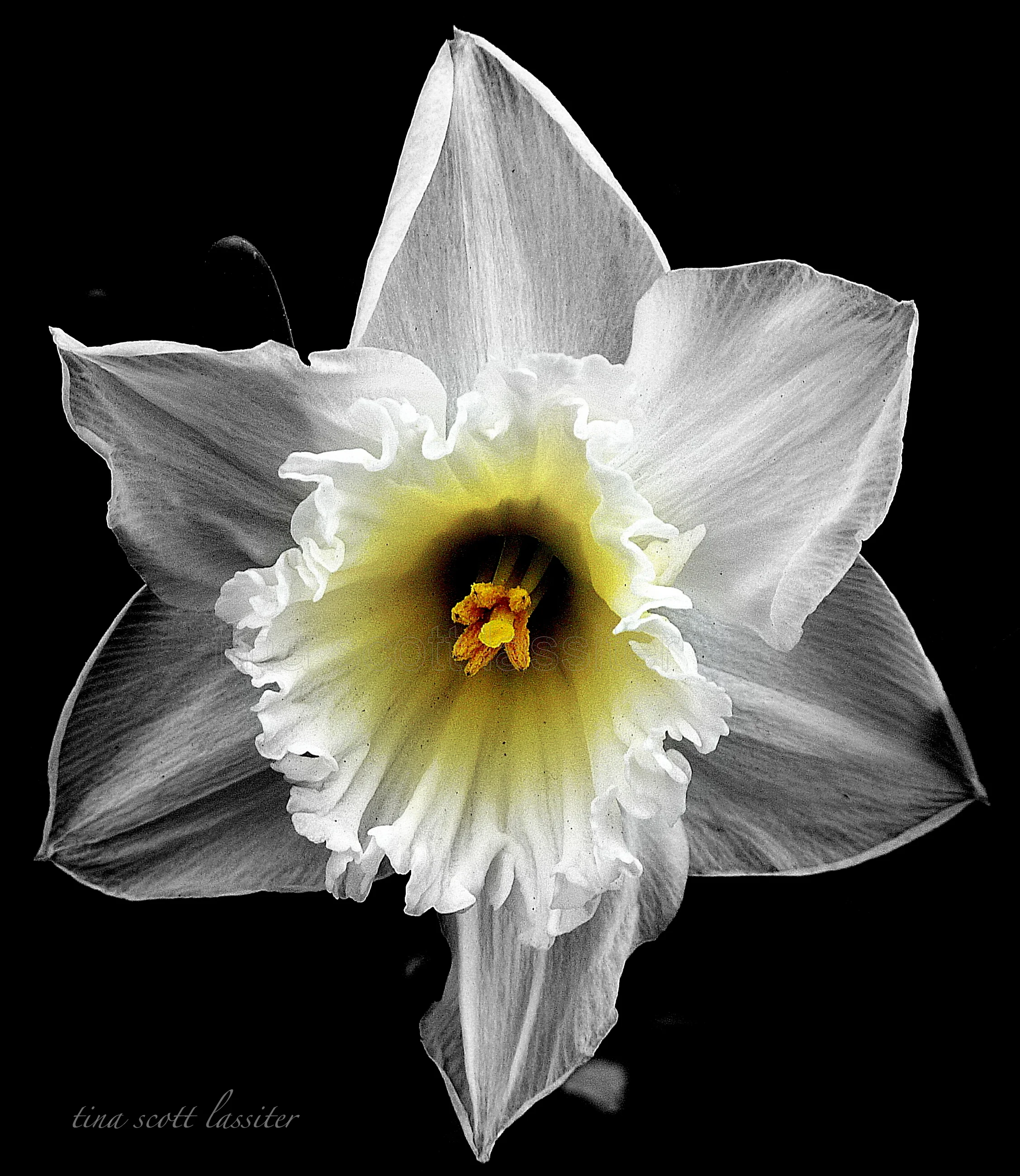 baptism