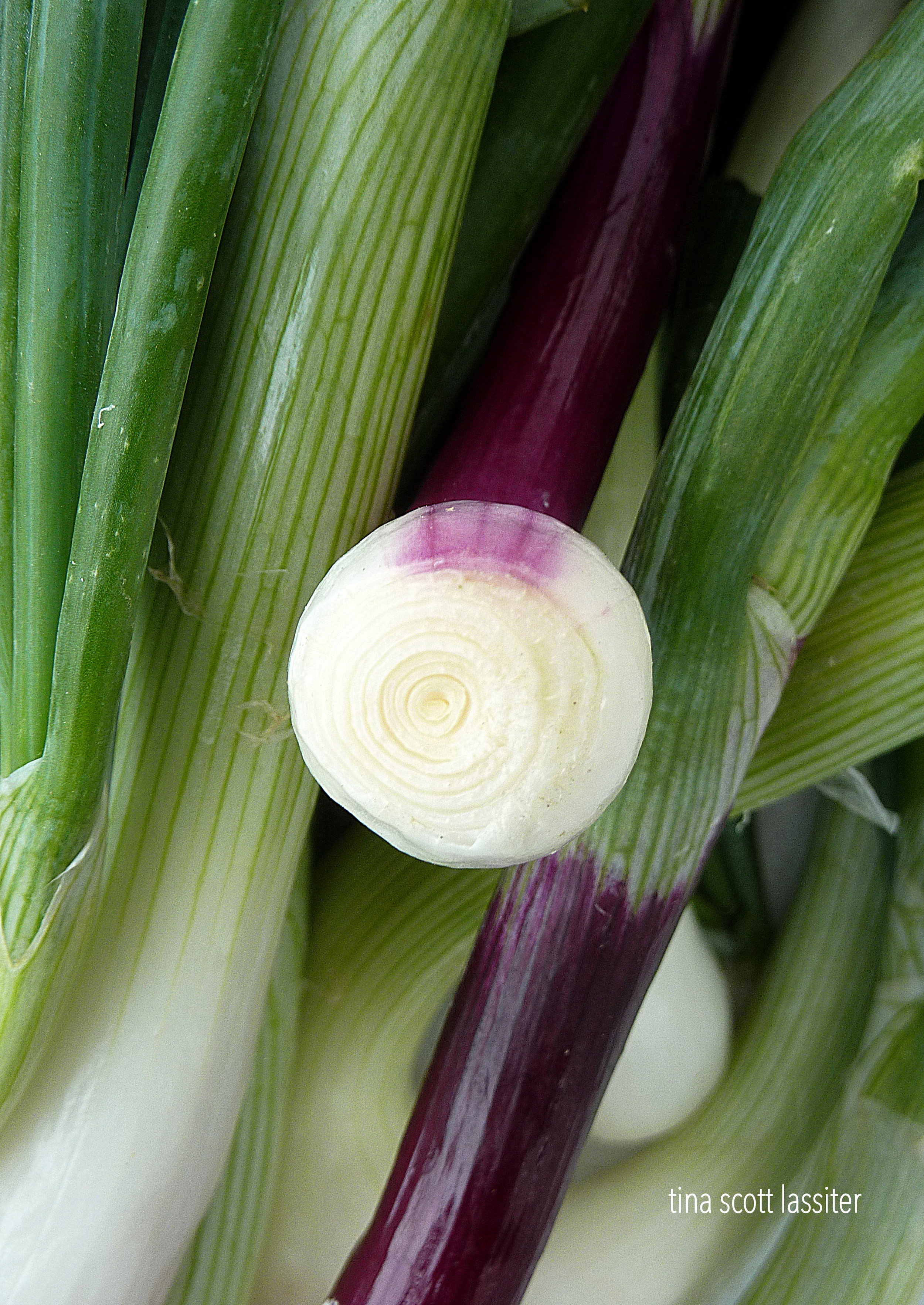 scallions