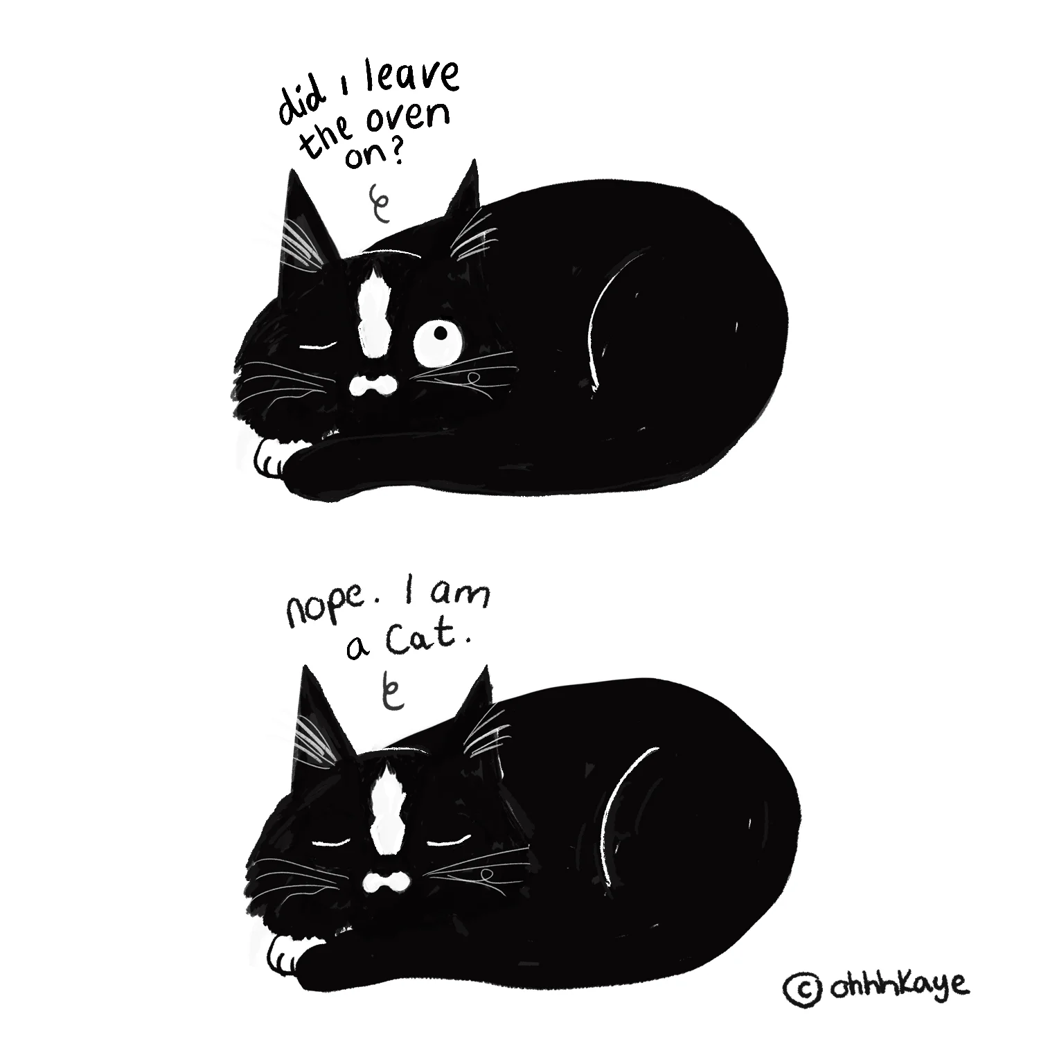 what-ziggy-thinks-004.jpg