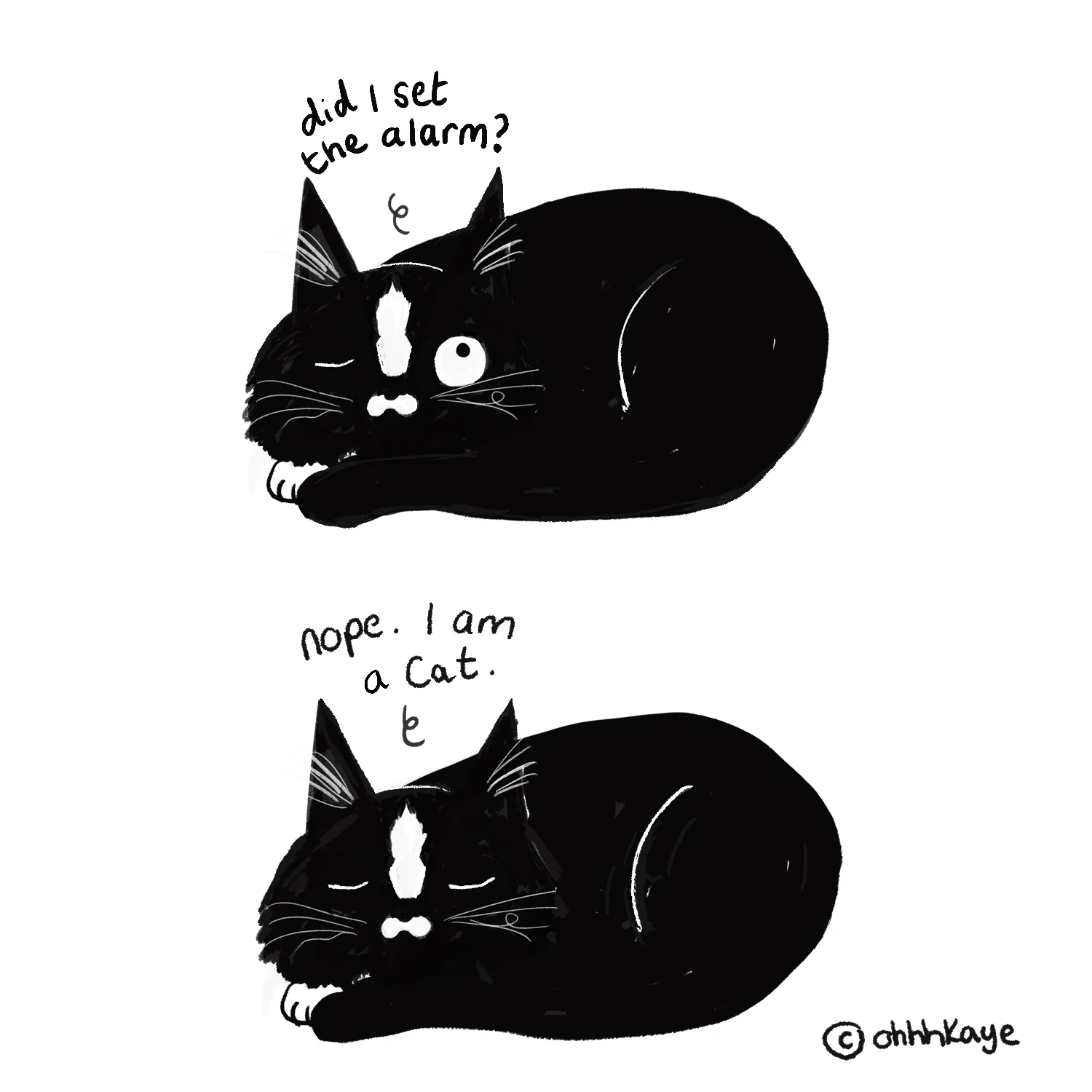 what-ziggy-thinks-005.jpg