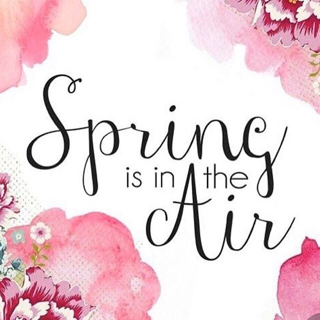 Happy Spring 💛 
#spring #gardencenter #smallbusiness