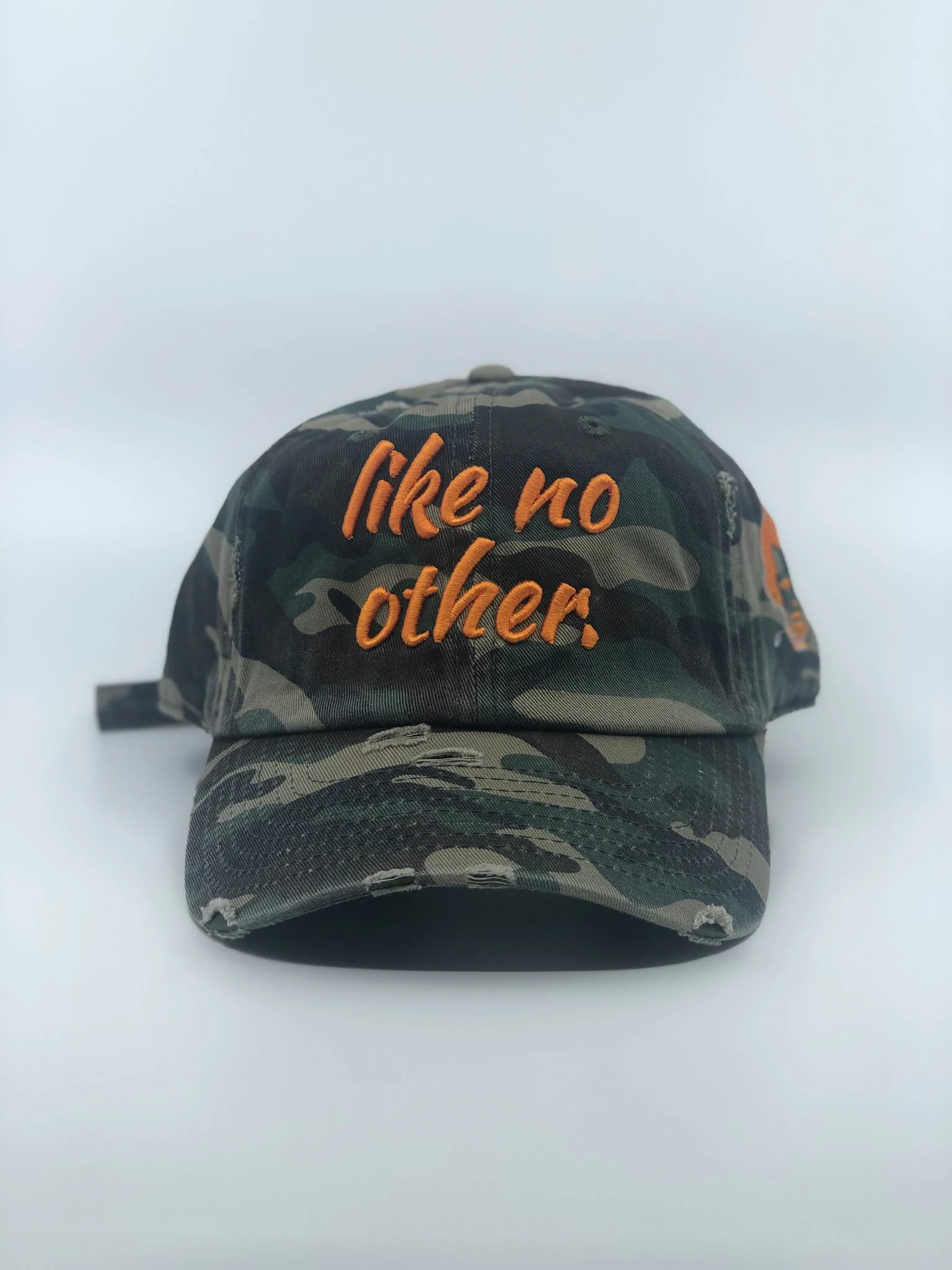 LikeNoOtherCamo.jpg