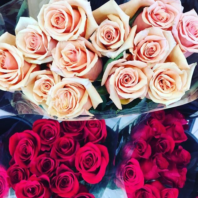 &lsquo;One day you will look back and see, that all along you were always blooming.&rsquo; Morgan Harper Nichols
.
.
.
.
#lymediseaseawareness #healing #healthymind #strength #grateful #hope #supportsystem #mentalhealthwarrior #keepfighting #keepmovi