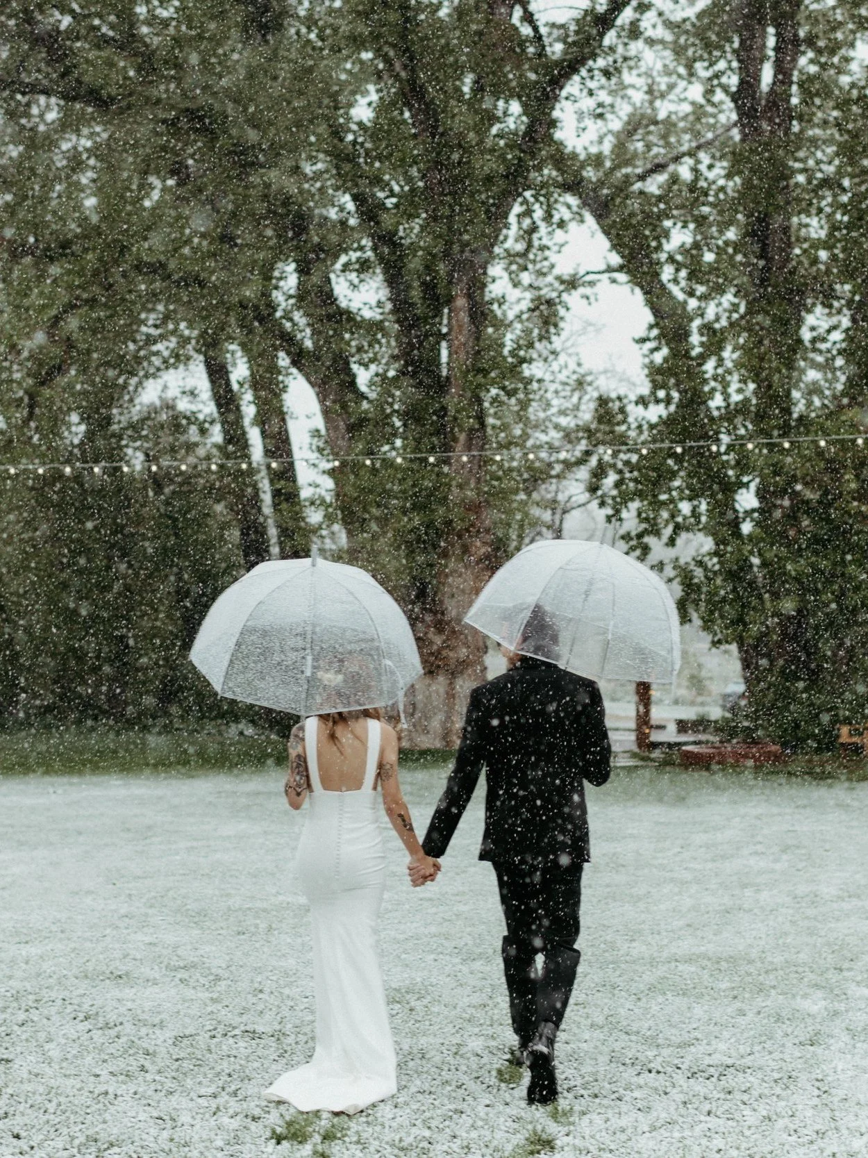 Alex &amp; Corey - A Snowy Spring Wedding At The Lyons Farmette