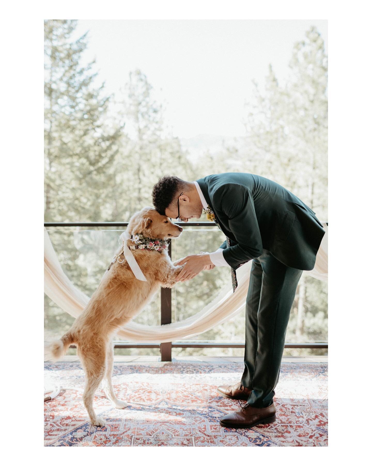 Susan and Kevin may have been the ones getting married, but Miss Maya stole the show. An amazing day for an amazing little family - we just adore them all.