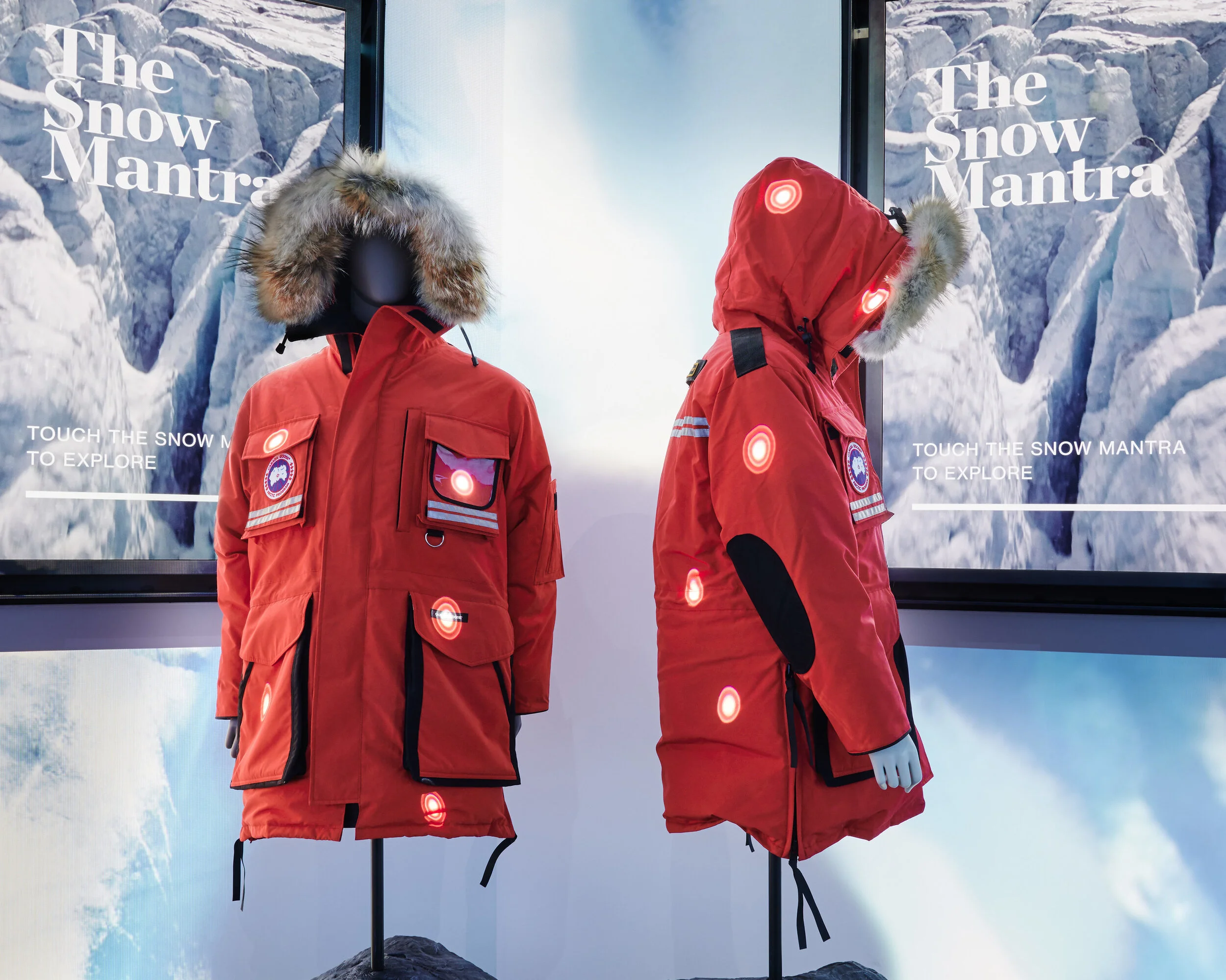 Paybright Canada Goose Austria, SAVE 31 