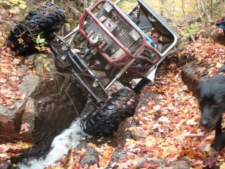 loonierun2010_hillbillyboggersproperty3 (1).jpg