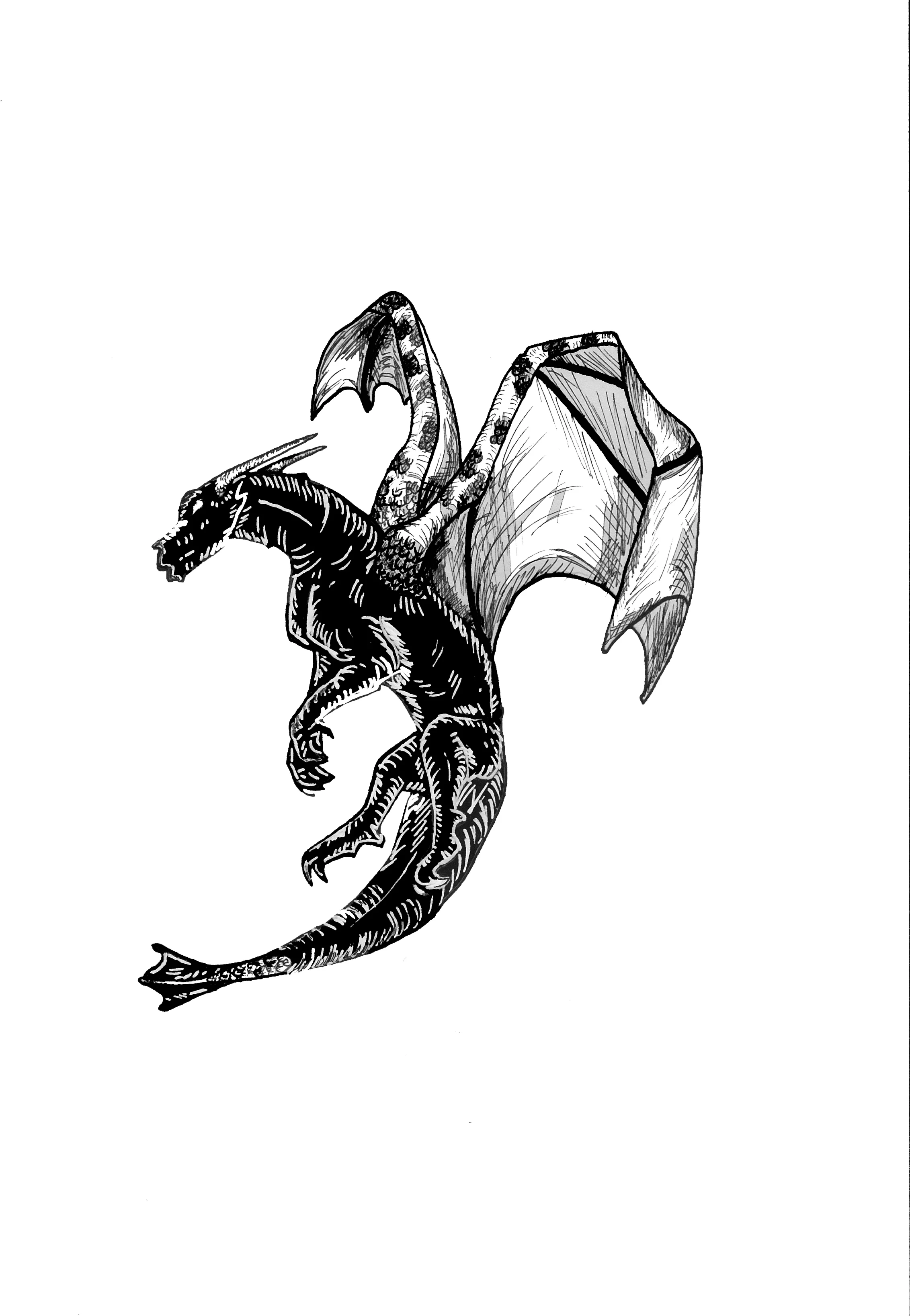final dragon8.jpg