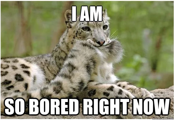 snow leopard.jpg