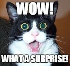 cat surprise.jpg