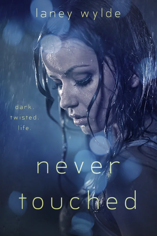 Ebook - Never Touched WEB.jpg