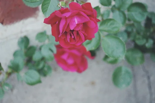 a poem to grant yourself permission