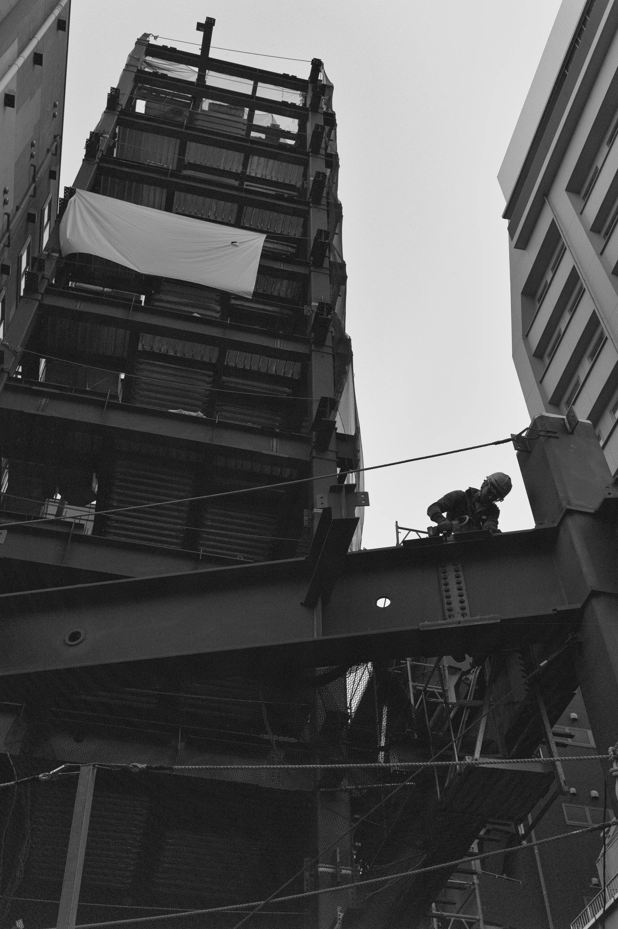 20191116-L1000403-FDH_2048px.jpg