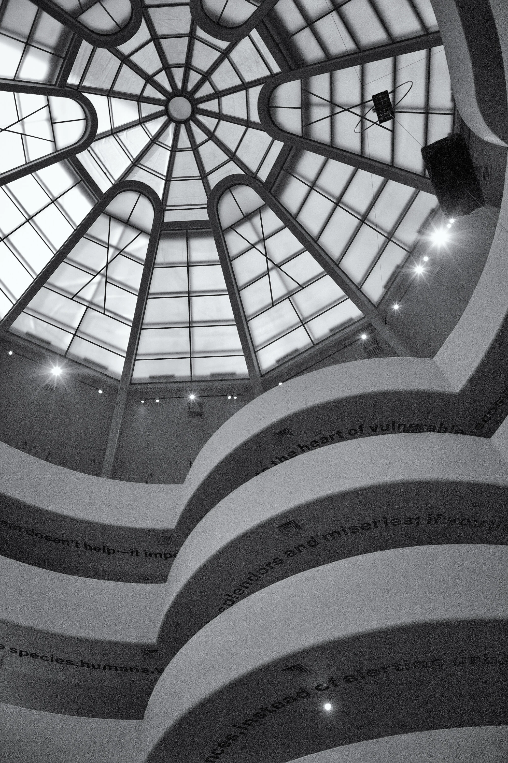 L1007956-Edit-Edit.jpg