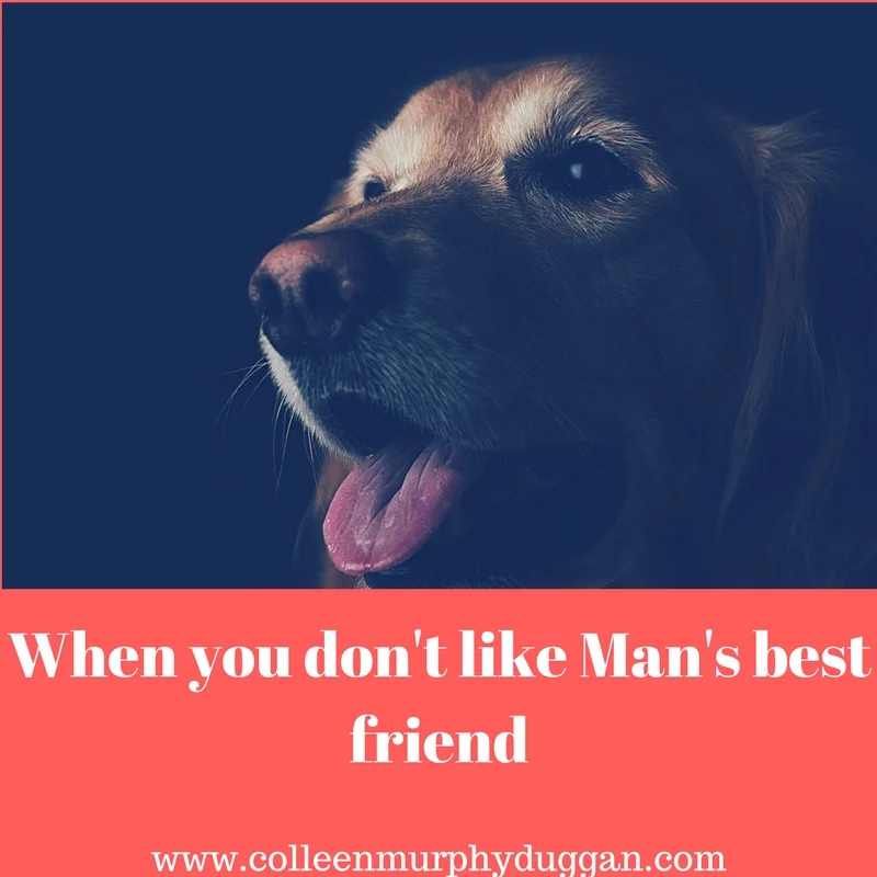 When you don't like Man's best friend.jpg