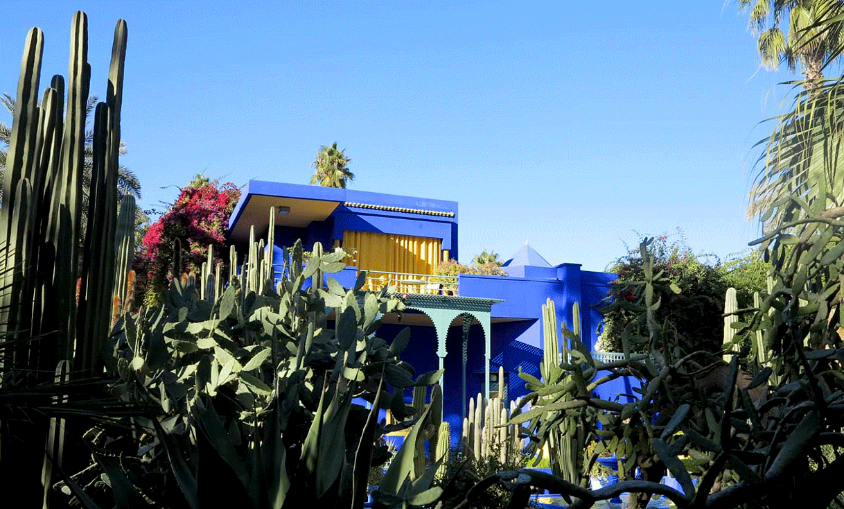 AK-Taylor-Morocco-Safari-Marrakesh-Jardins-Majorelles.gif