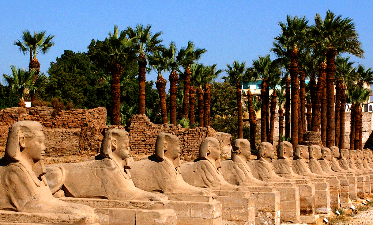 AK-Taylor-Egypt-Avenue-of-Sphinxs-Luxor-Temple-Abercrombie-Kent.gif